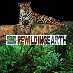 Episode 111: Combat Vet Jon Rezendes on Large Carnivore Coexistence and a Habitat Protection Victory in El Paso’s Franklin Mountains