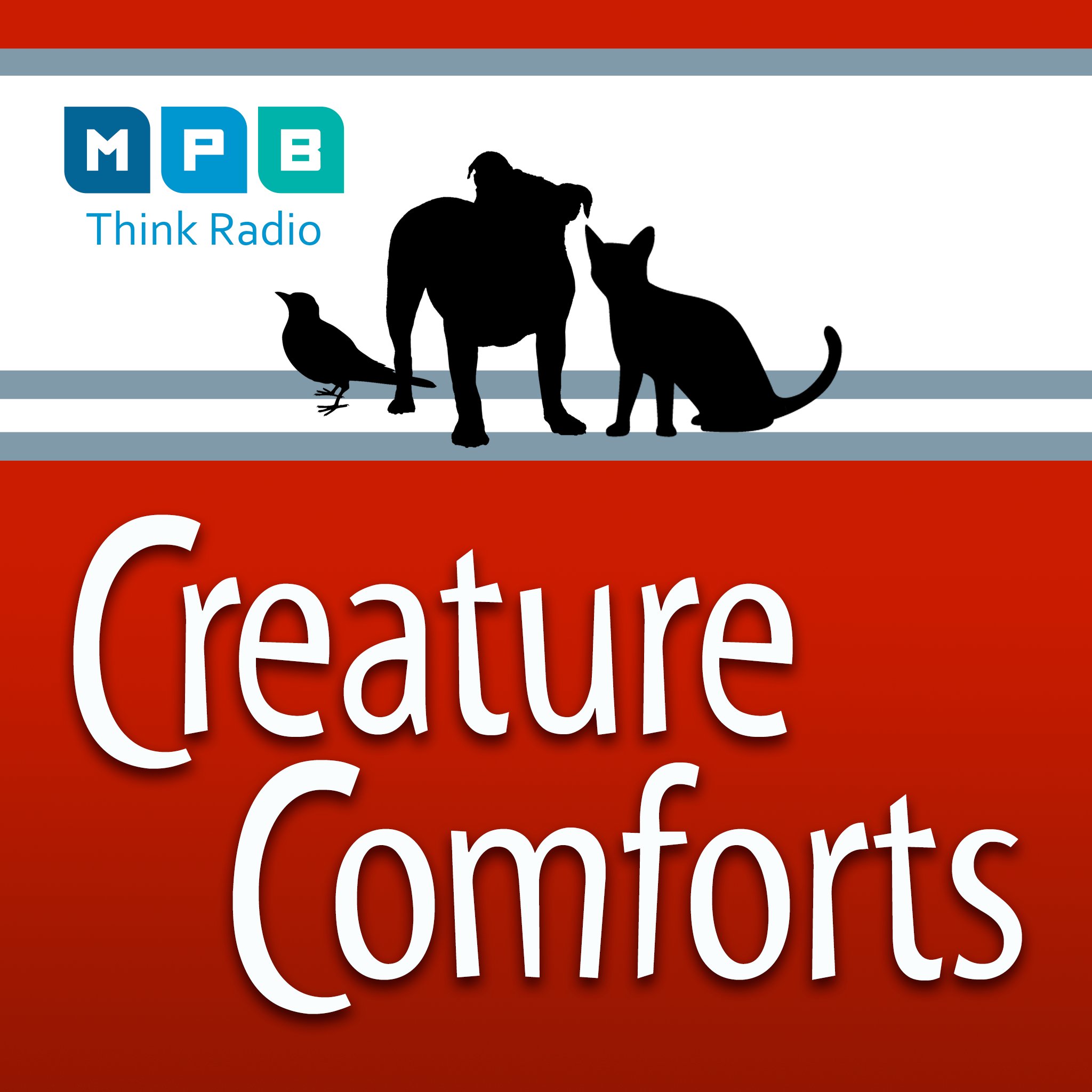 Creature Comforts 