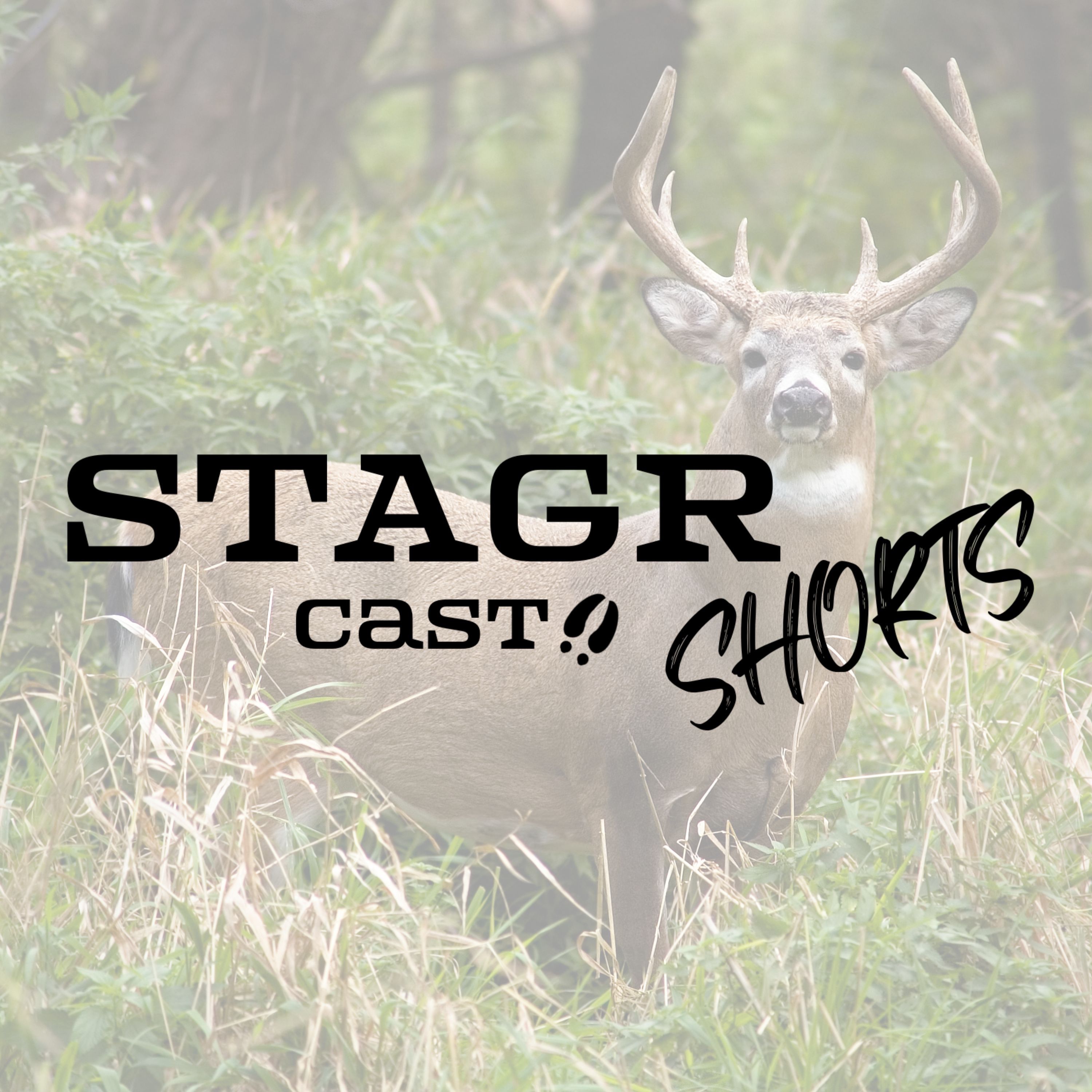 STAGR Cast SHORTS #7