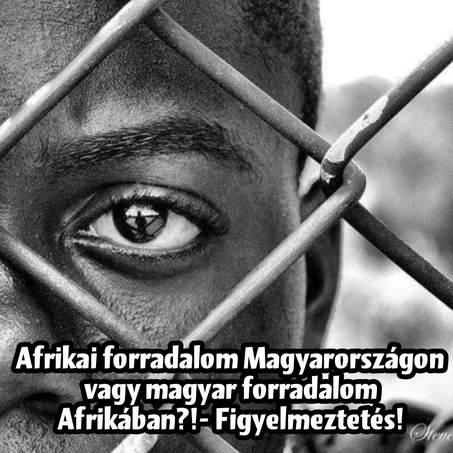 Afrikai forradalom Magyarországon vagy magyar forradalom Afrikában?!-Álom