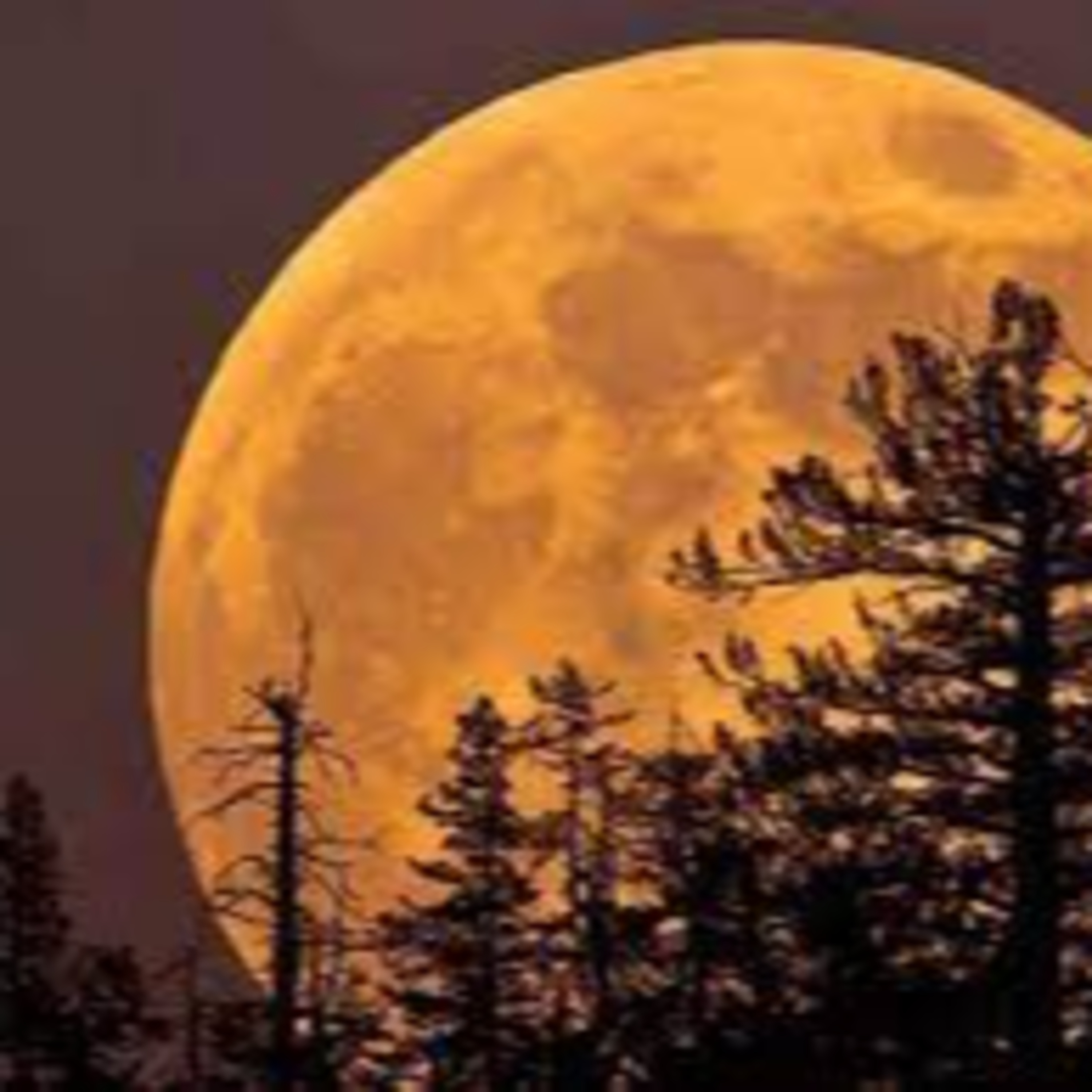 Astronomia di luglio