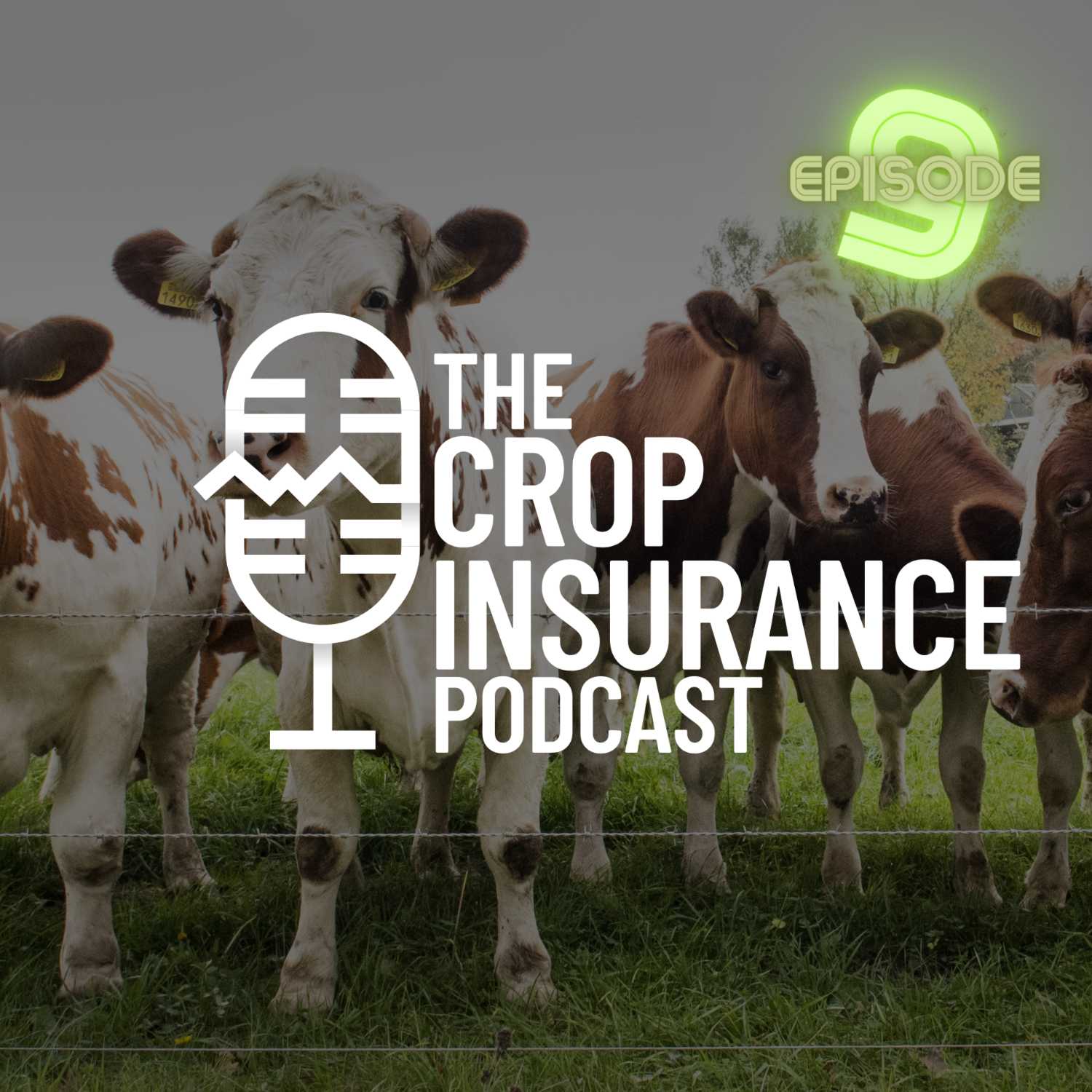 Crop Insurance Basics | 9: Livestock Risk Protection (LRP)