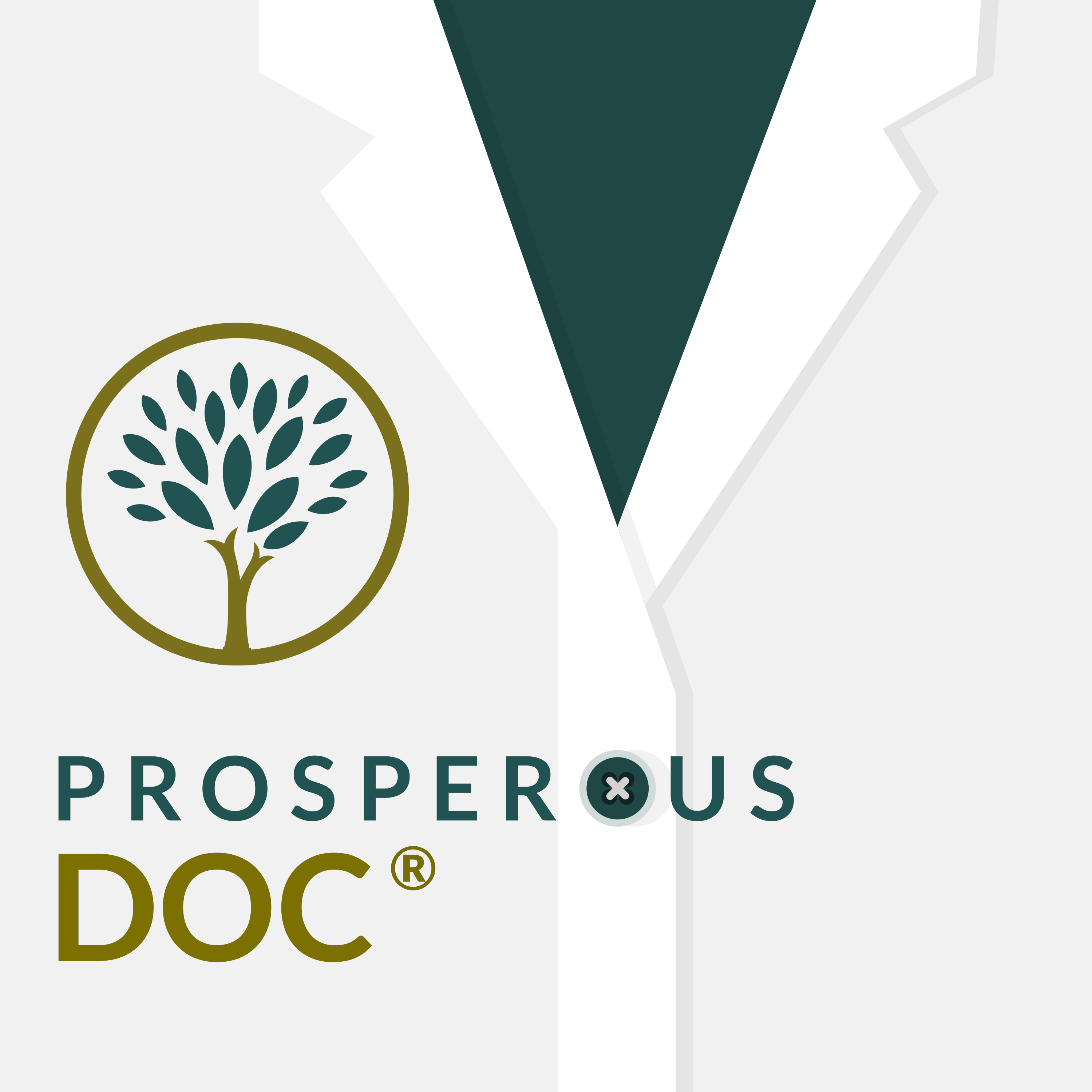 The Prosperous Doc 