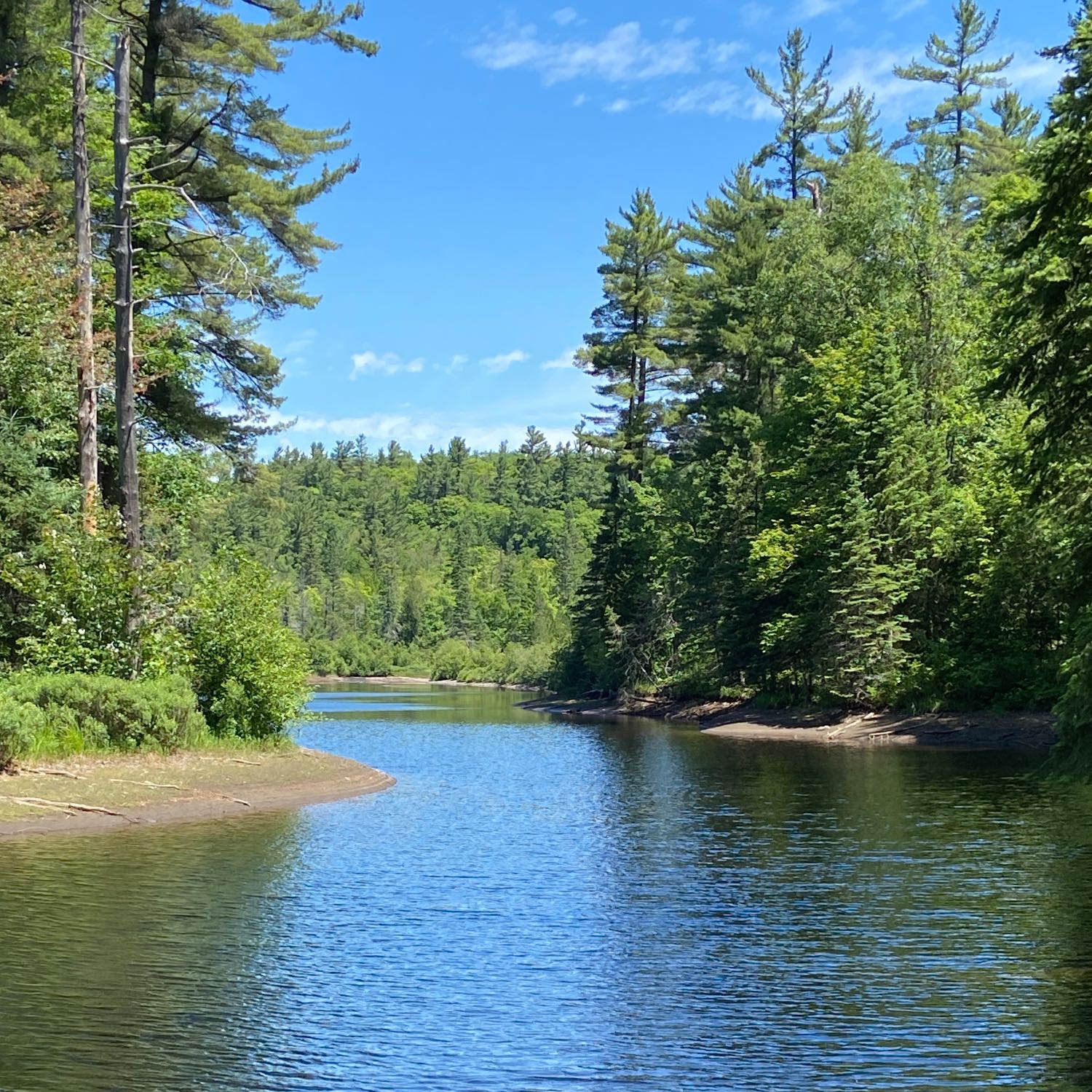 Sault Ste Marie Hiawatha Trails 