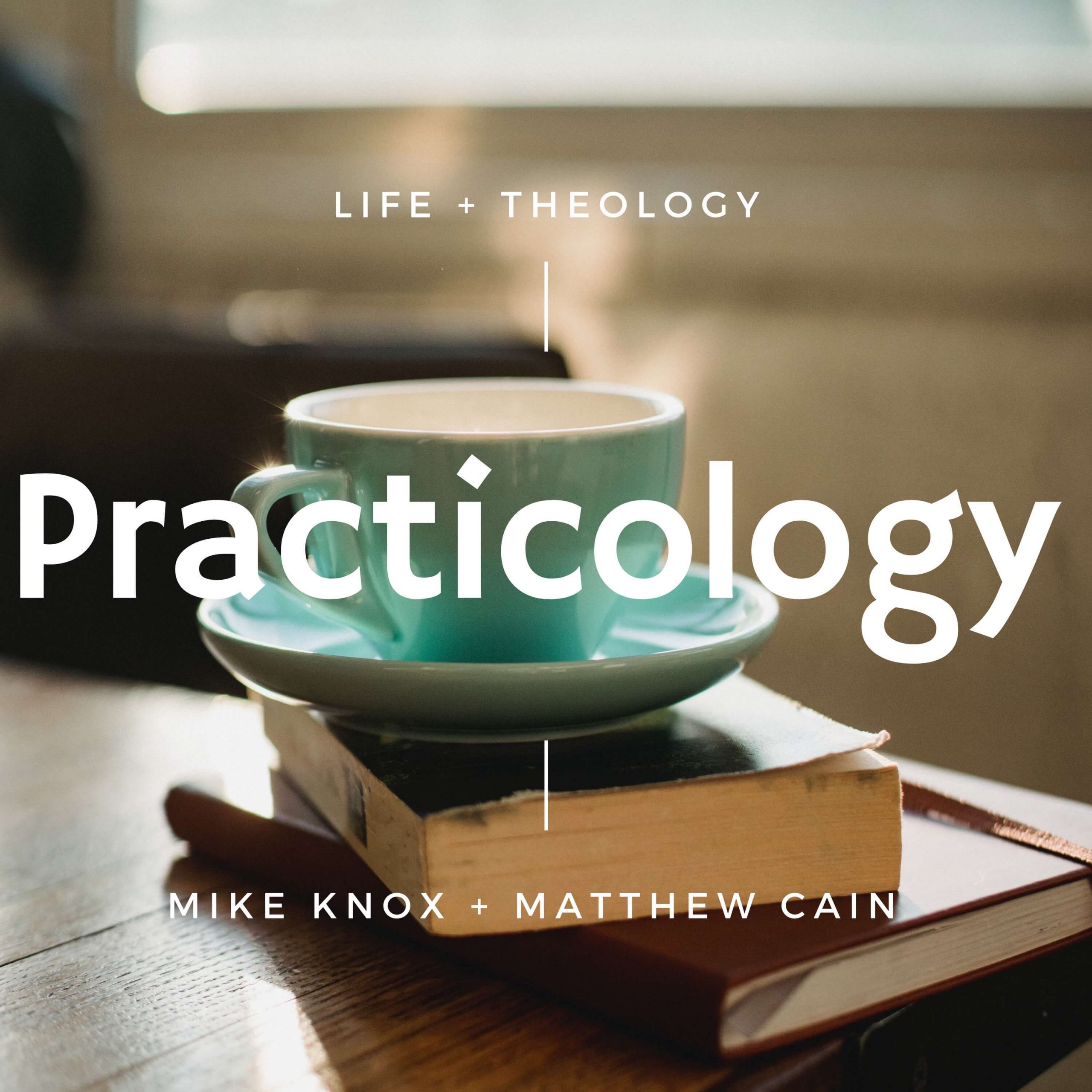 PP123 A Theology of the Body