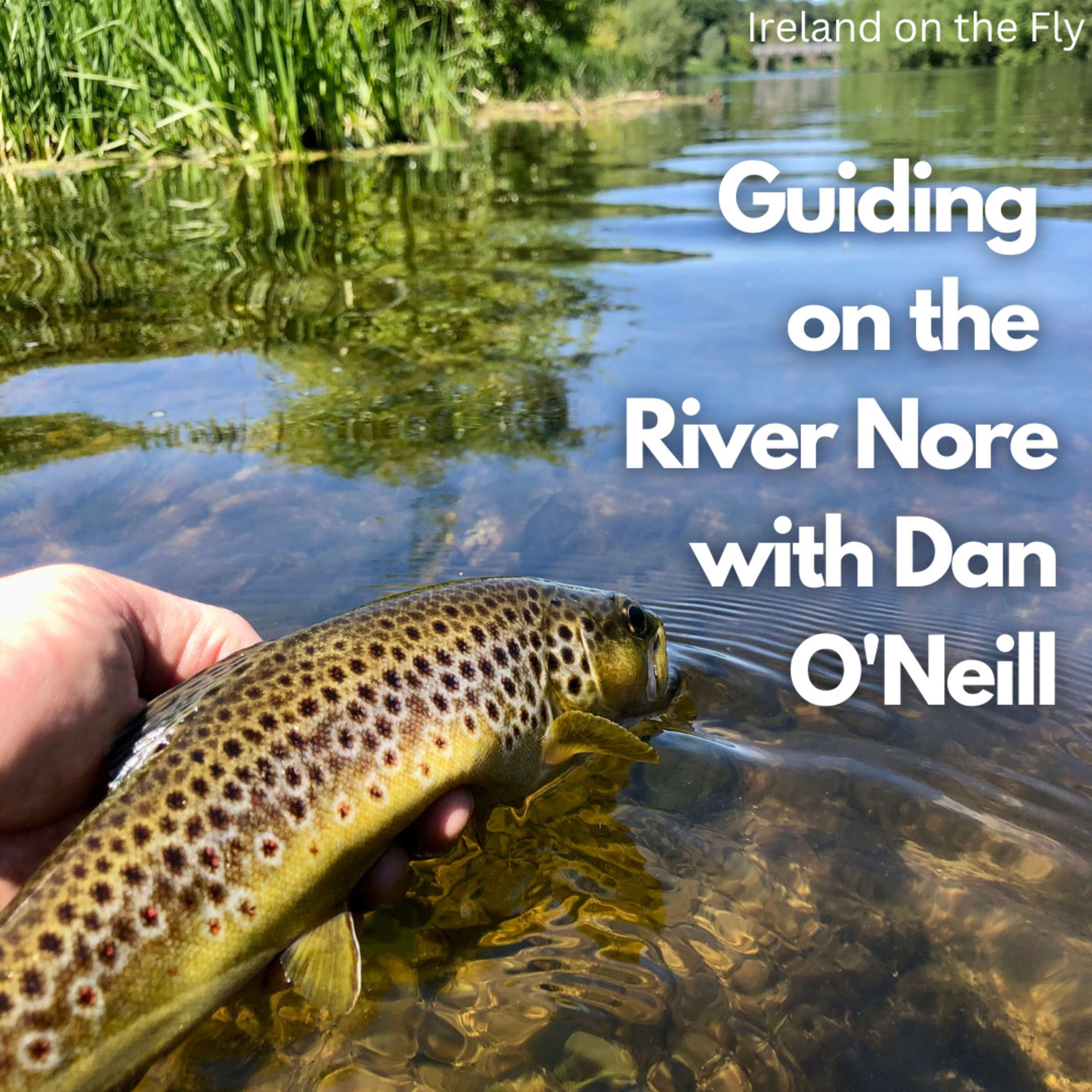 Guiding on the River Nore with Dan O’Neill