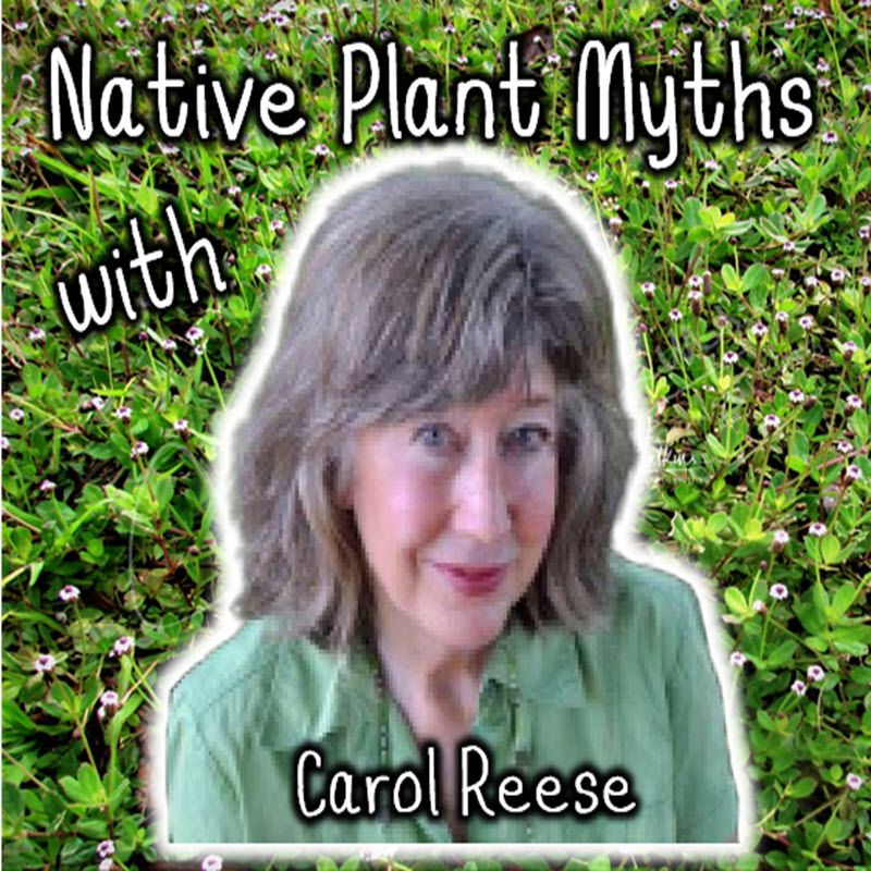 Better Lawns and Gardens - Hour 2 Carol Reese Native Plant Myths July 1, 2023