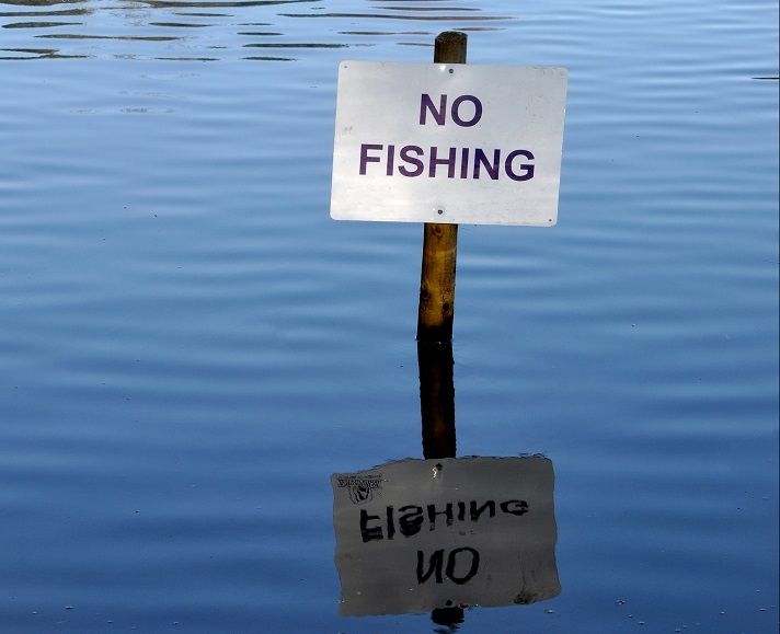 ⁣John MacKenzie chats with Bruce Batch, N4 Commercial Fisherman in Far North Queensland, about the new laws and quotas for spanish mackerel catches that came into effect from July 1st 2023.