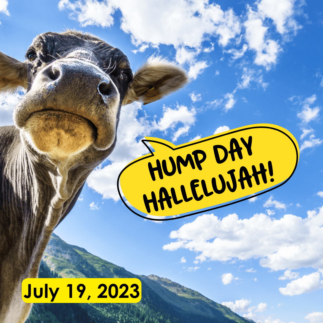 Hump Day Hallelujah!  July 19, 2023