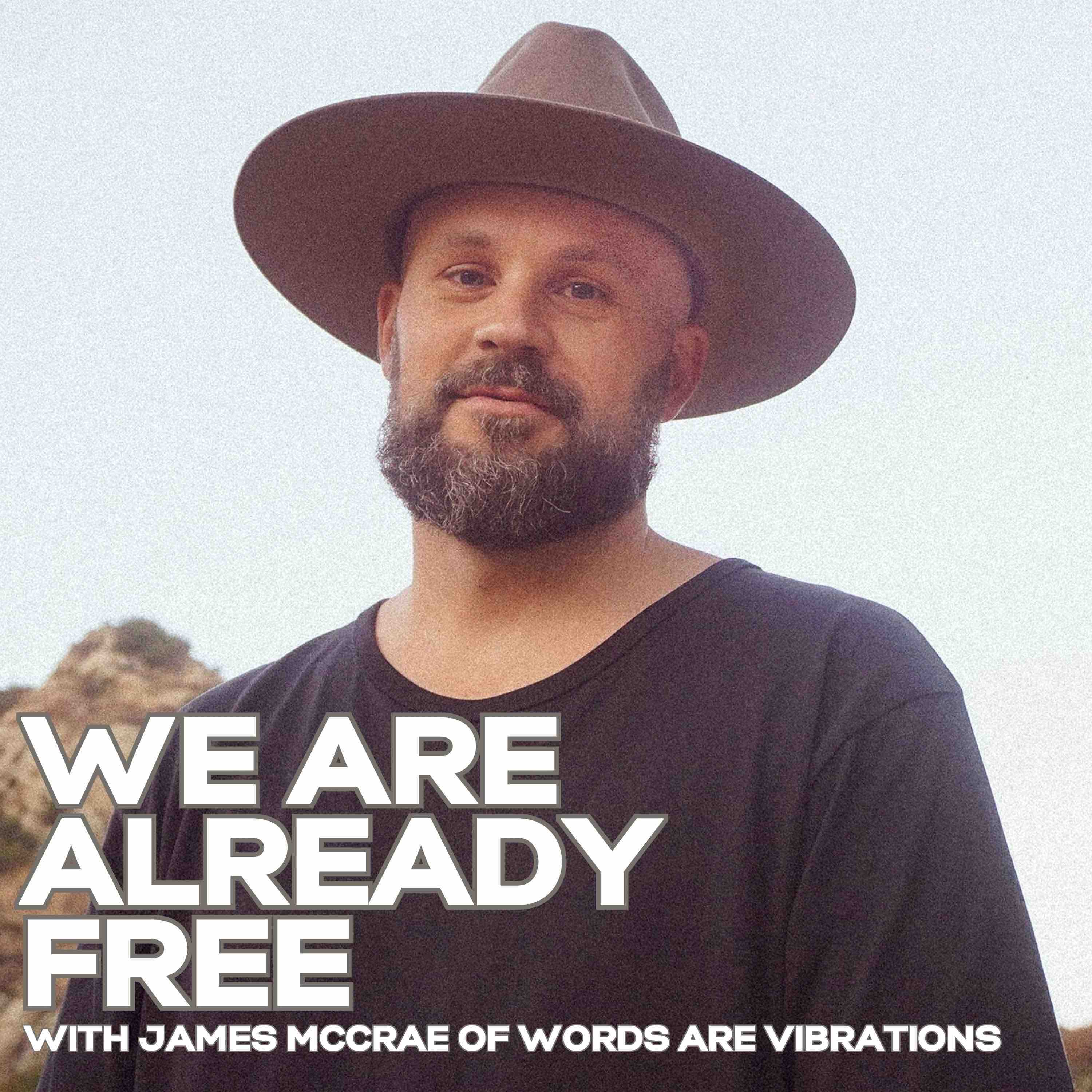 Unleashing the Power of Creativity: Insights from Words Are Vibrations with James McCrae