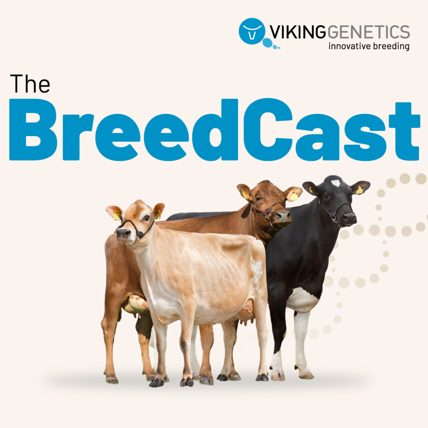 The BreedCast - innovative dairy breeding in your ears 