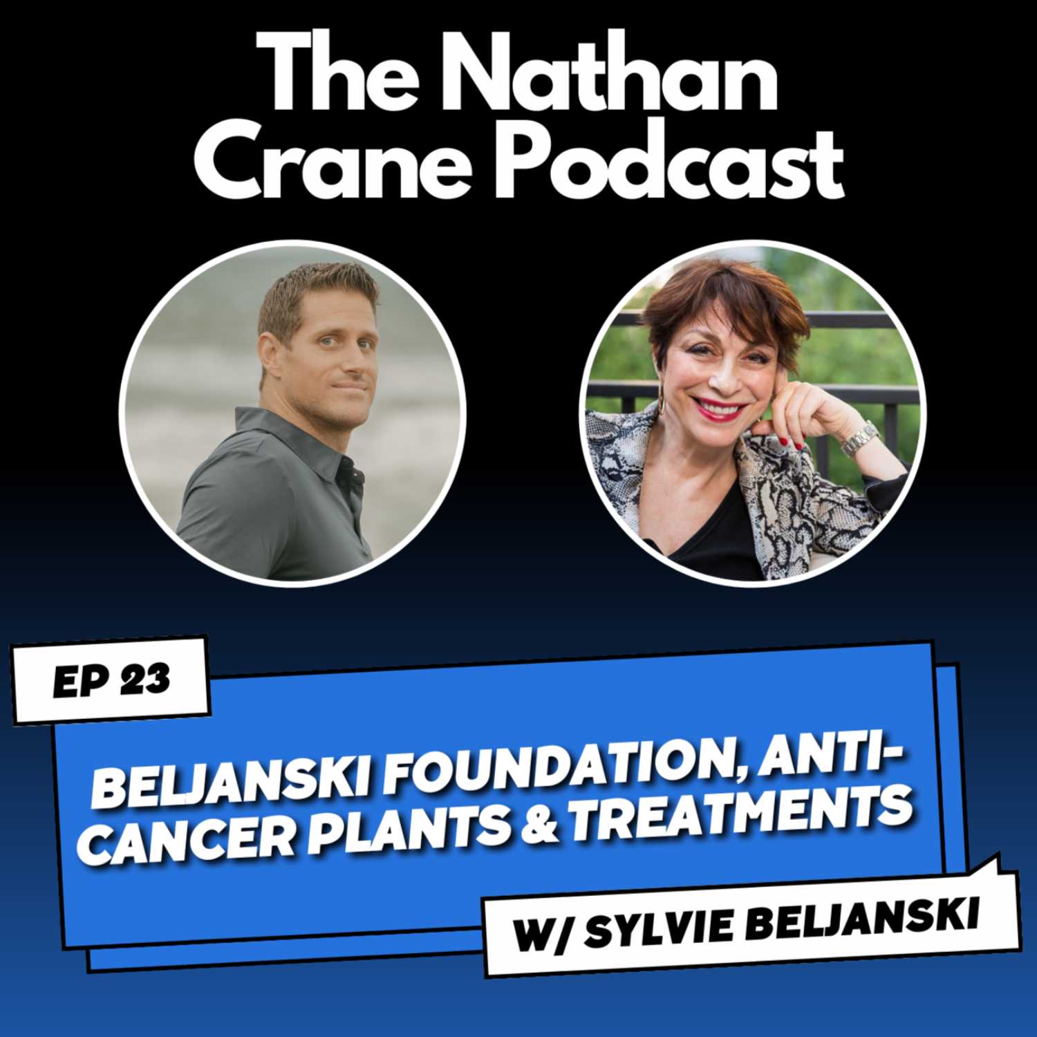 Sylvie Beljanski - Beljanski Foundation, Anti-Cancer Plants & Treatments| Nathan Crane Podcast 23