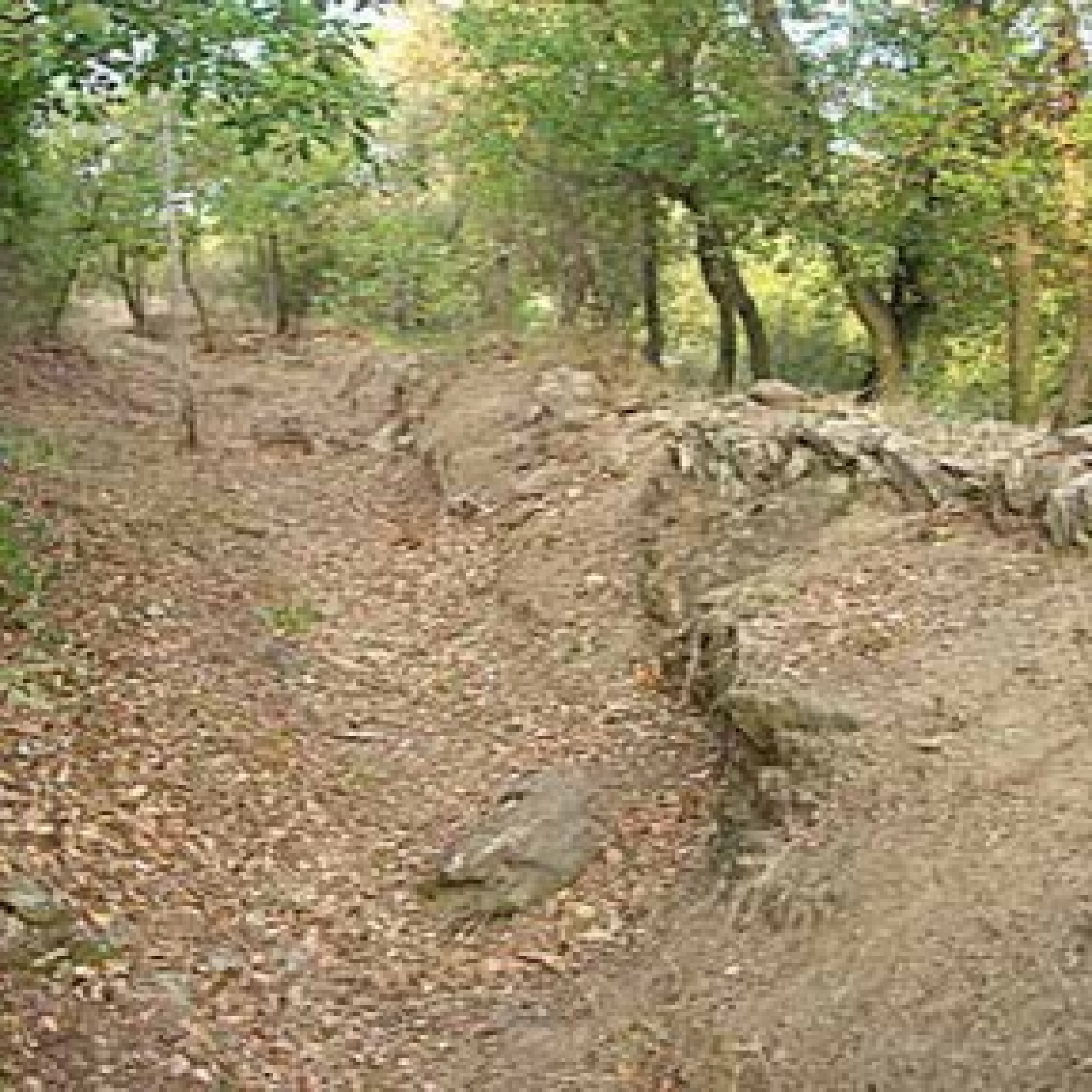 2023-07-13 MiP - 222 - La descoberta de les restes del Camí Ral, de Barcelona a Vilafranca, al seu pas per Sant Boi