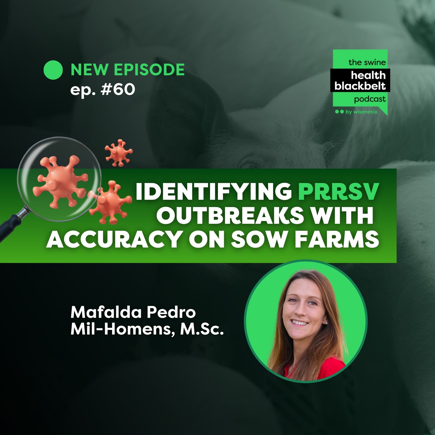 #60 - Identifying PRRSV Outbreaks with Accuracy on sow farms - Mafalda Pedro Mil-Homens, M.Sc.