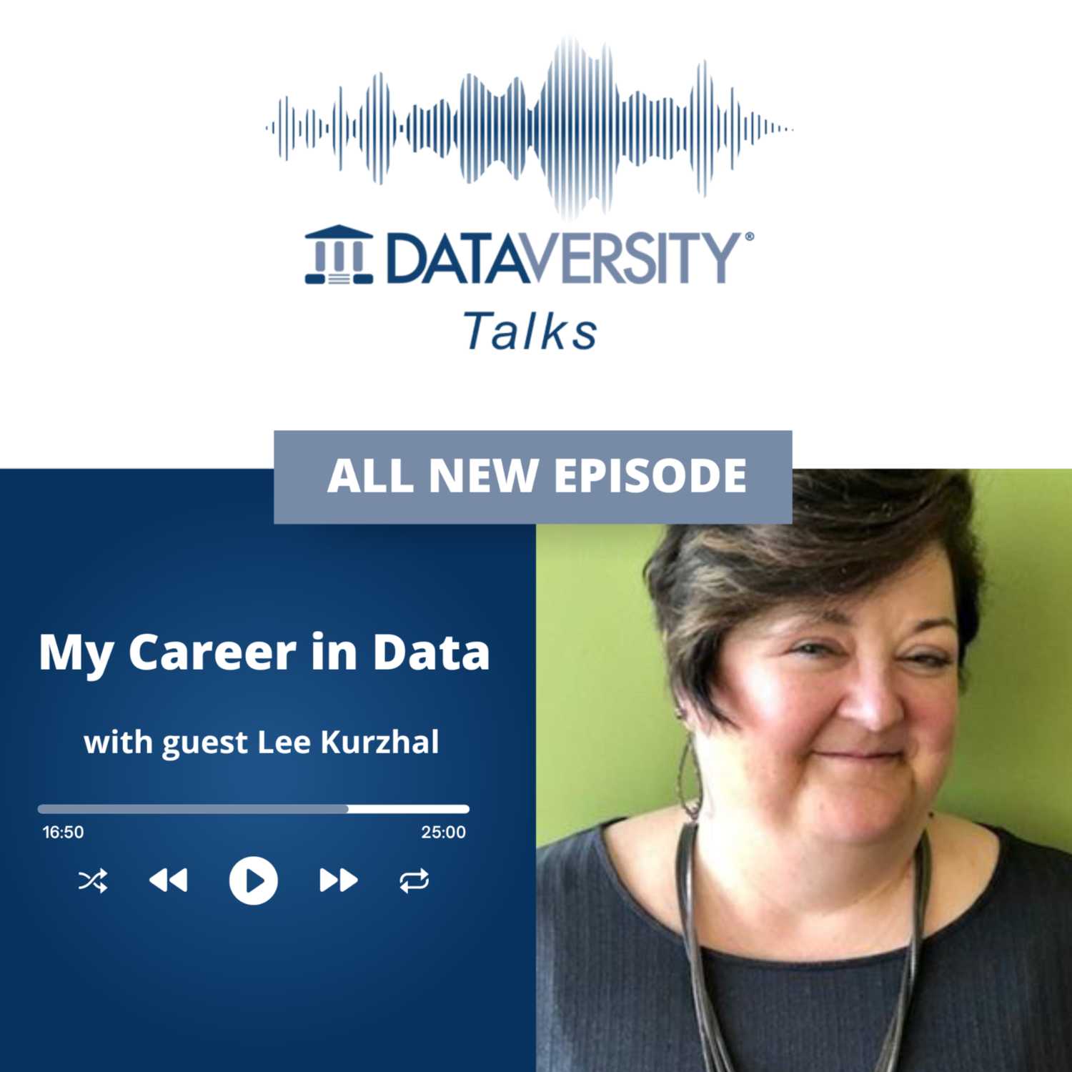 My Career in Data Episode 39: Lee Kurzhal, Principal Consultant, ERM