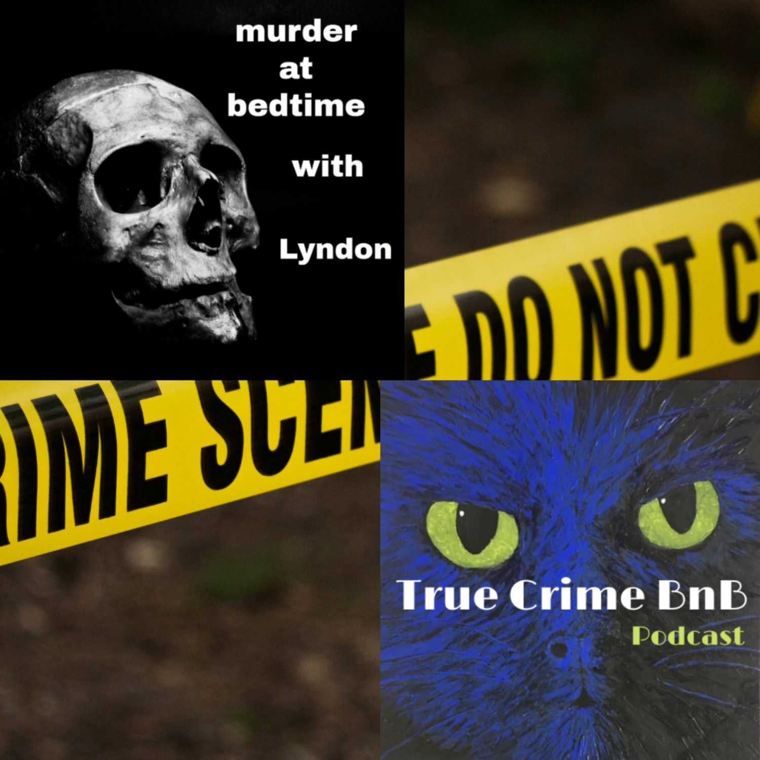 Episode 74; Collaboration with Murder at Bedtime With Lyndon