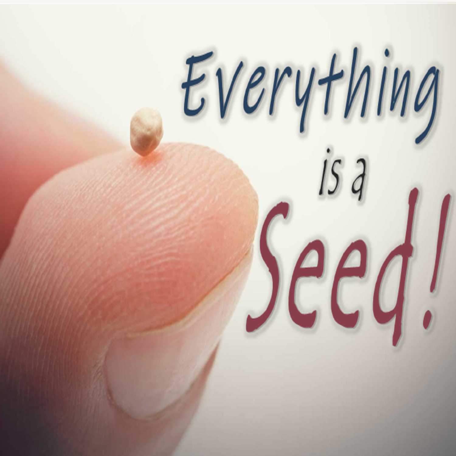 Everything is a Seed