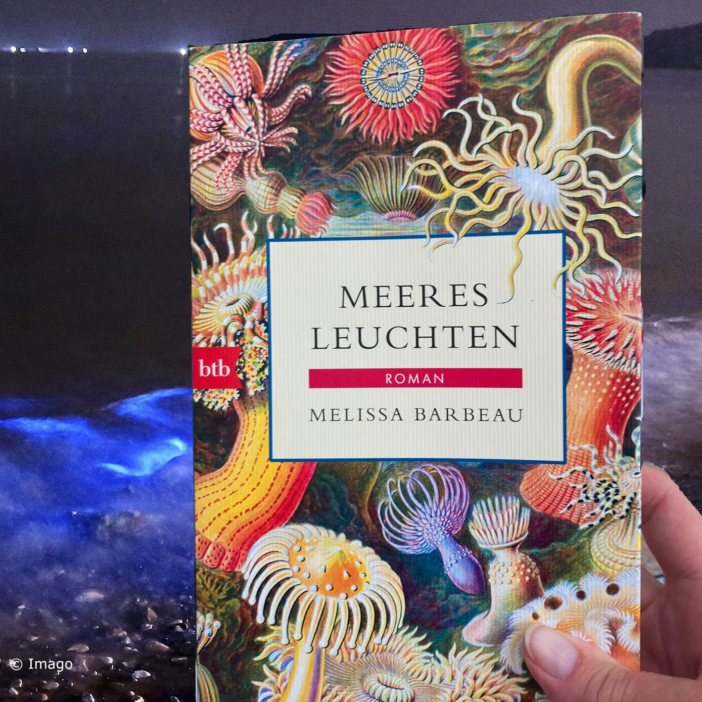 Melissa Barbeau: Meeresleuchten