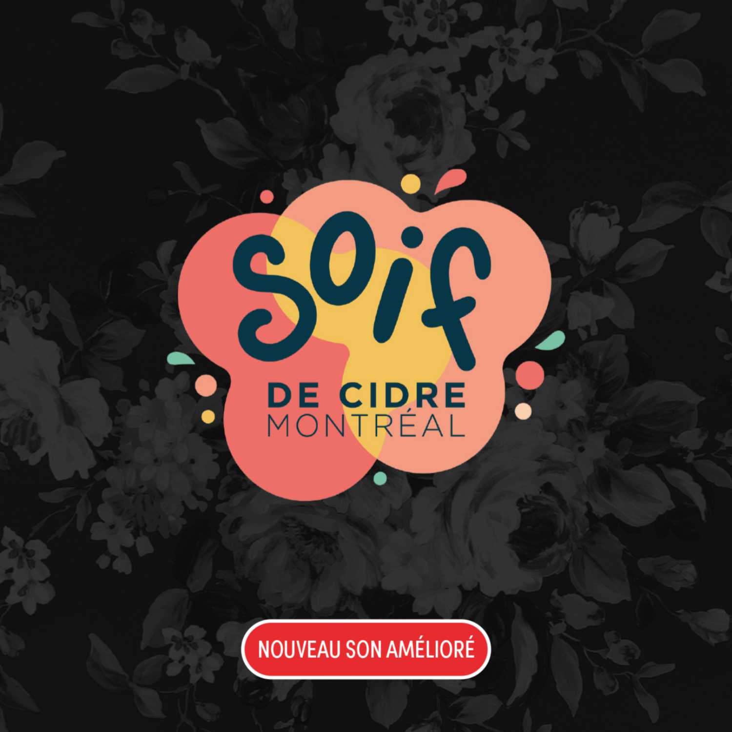 Soif de cidre 2023 ! Avec Frederic Le Gal - Ma première Tite Frette ! 