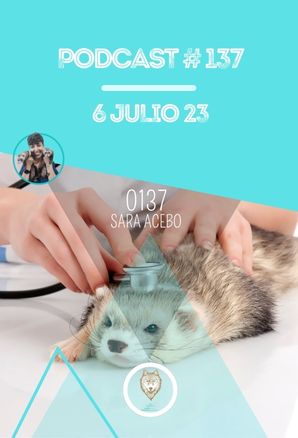 ⁣Hurones: Cuidados veterinarios