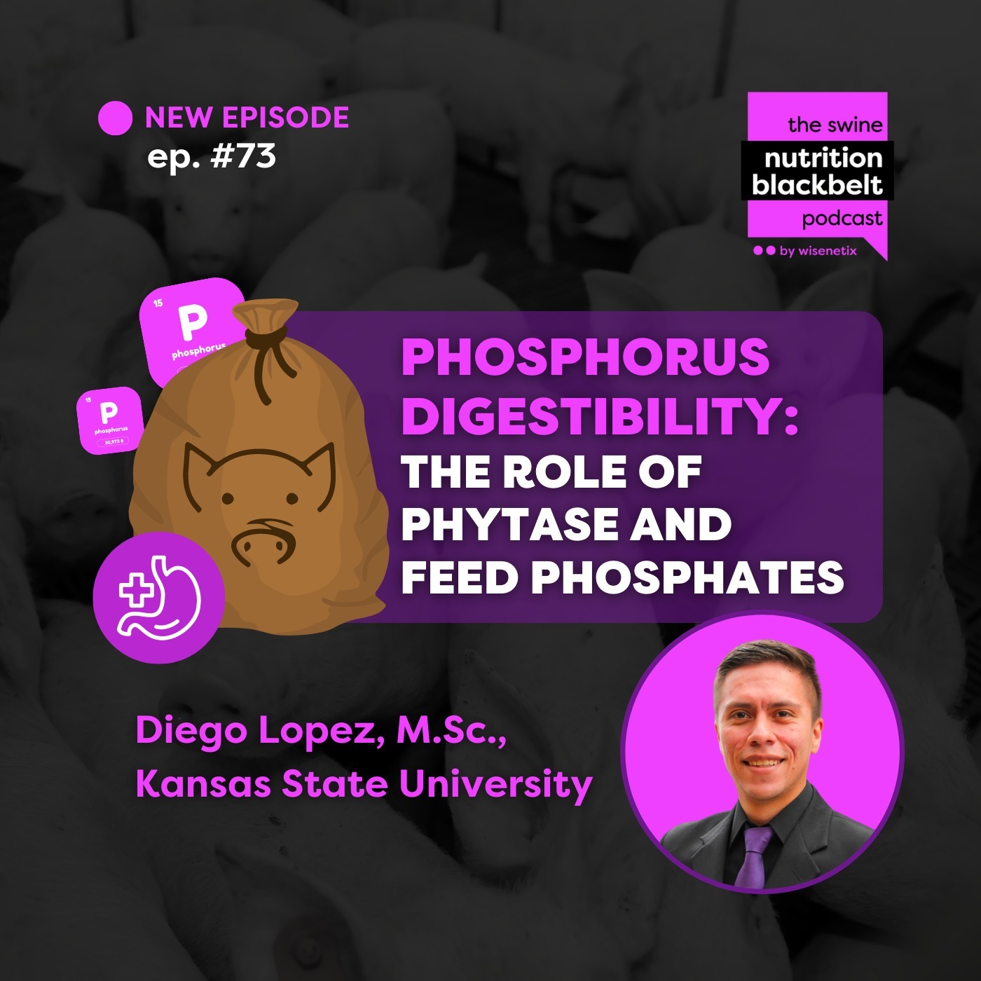 #73 -   Phosphorus Digestibility: The Role of Phytase and Feed Phosphates - Diego Lopez, M.Sc.