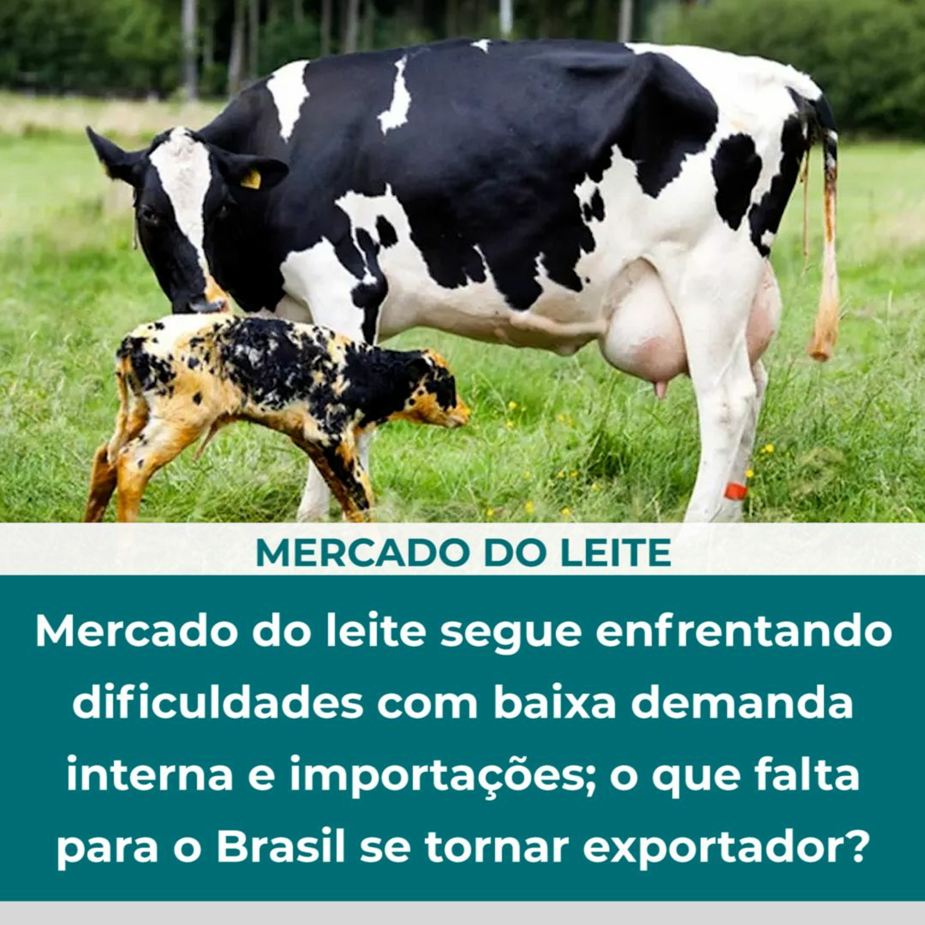 ⁣Mercado do leite segue enfrentando dificuldades com baixa demanda interna e importações