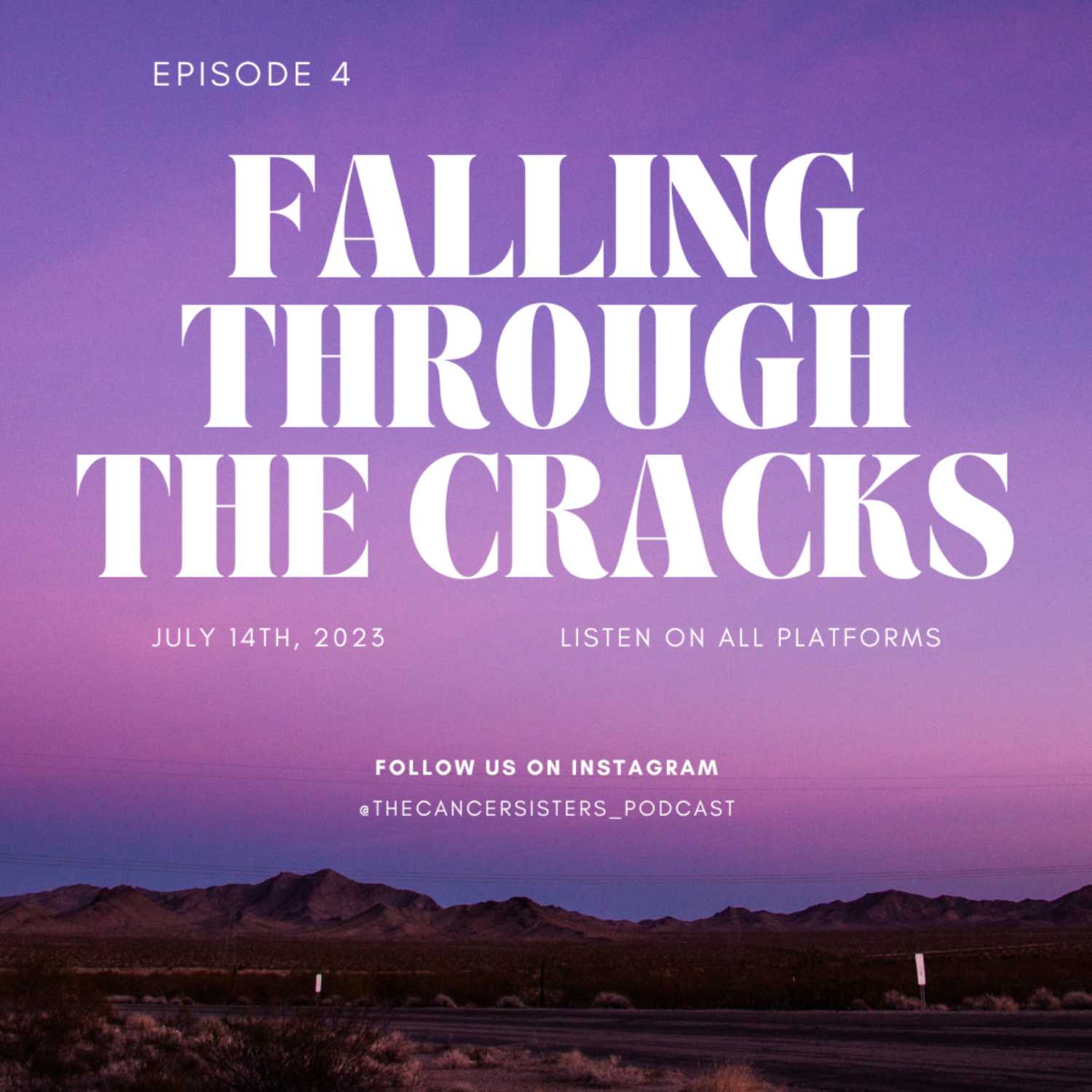 Ep. 4 Falling Through The Cracks