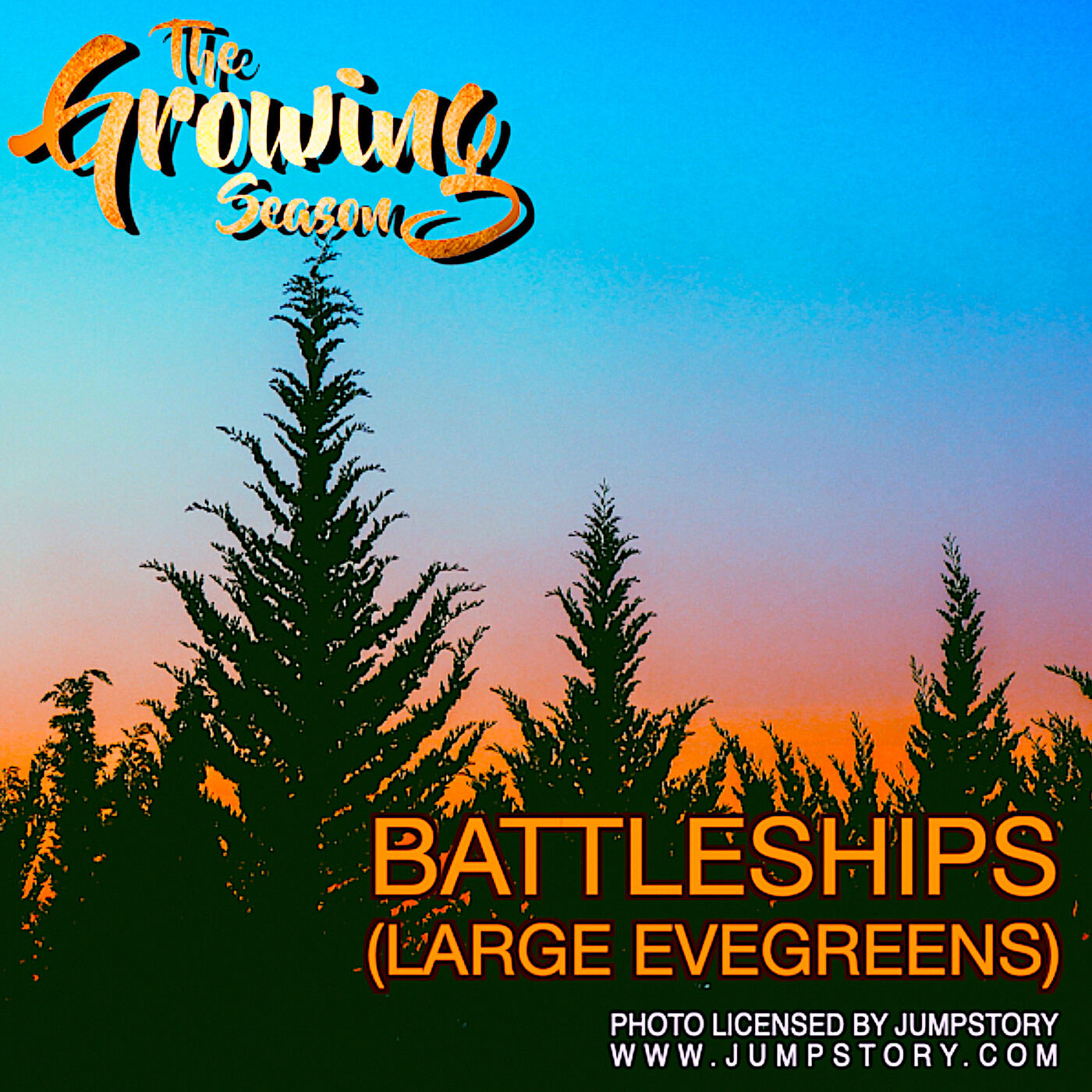 The Growing Season, July 8, 2023 - Battleships (LARGE EVERGREENS)