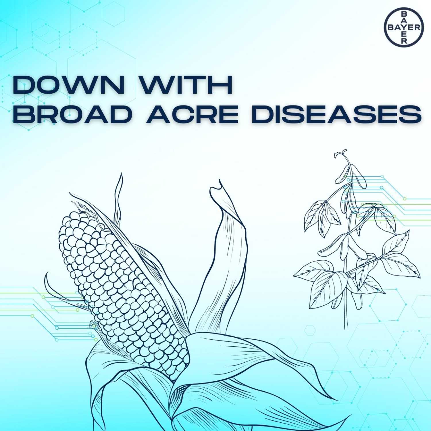 Preparing for the Fight Against Corn Diseases