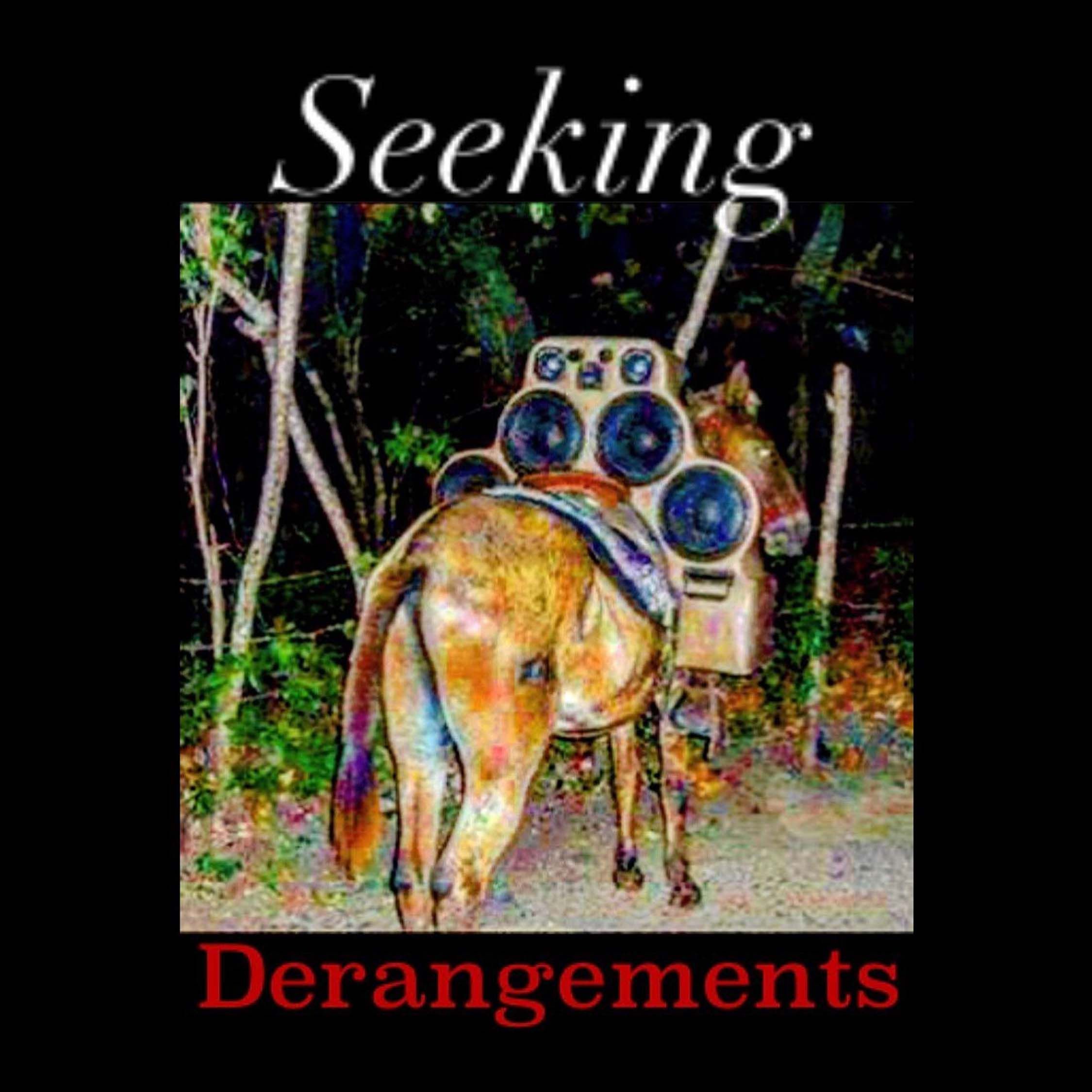 Seeking Derangements 