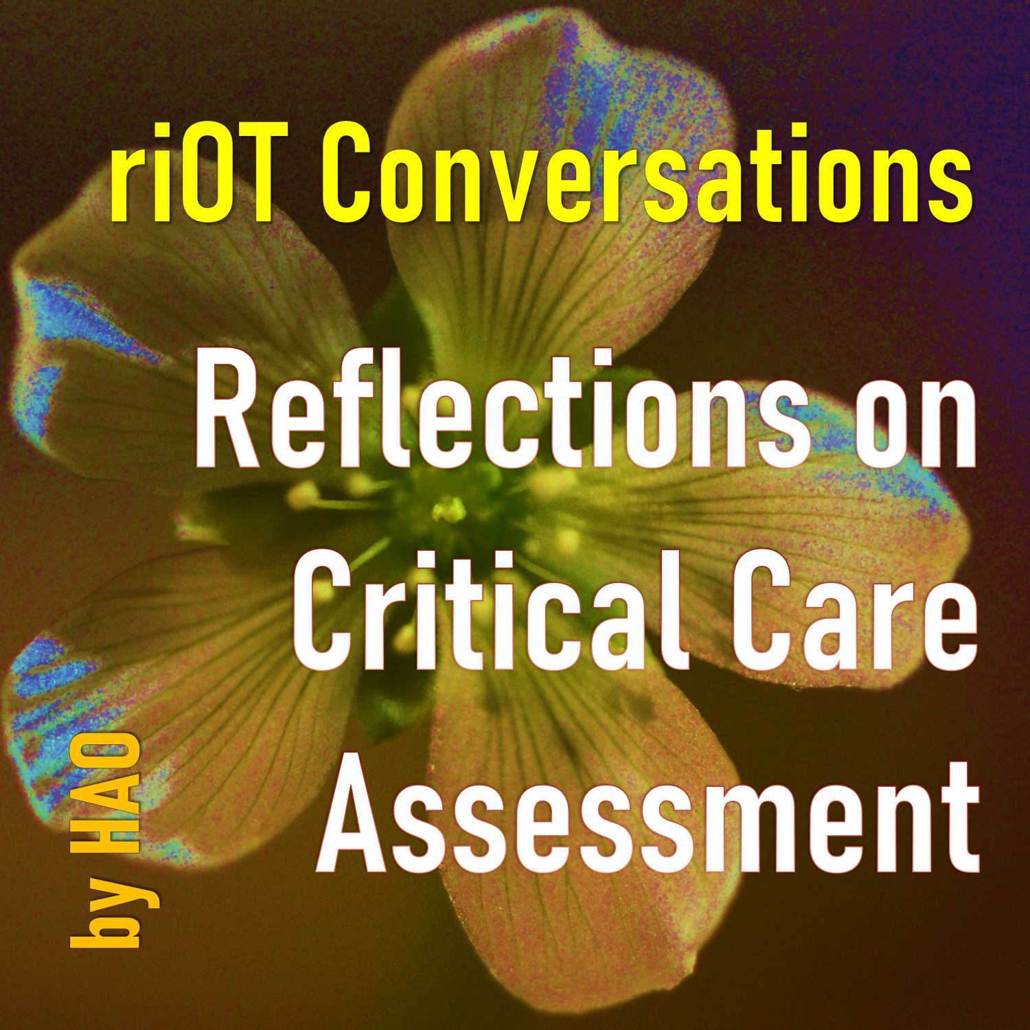 Reflections on Critical Care Assessment