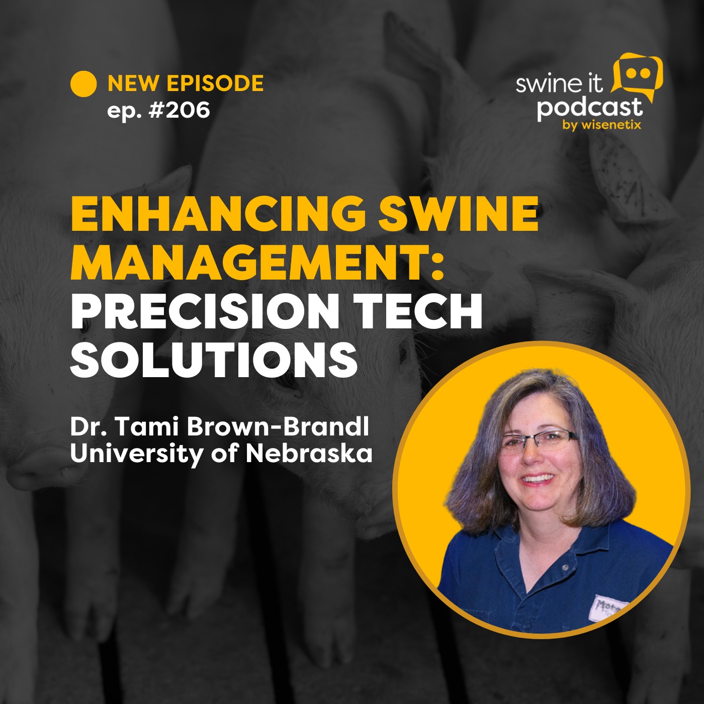 #206 - Enhancing Swine Management: Precision Tech Solutions - Dr. Tami Brown-Brandl