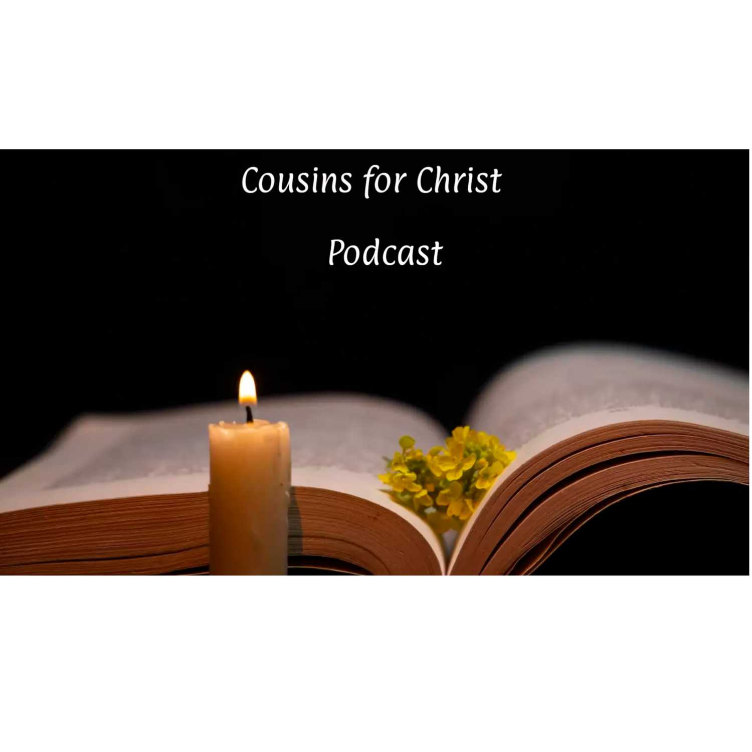 Cousins for Christ #3