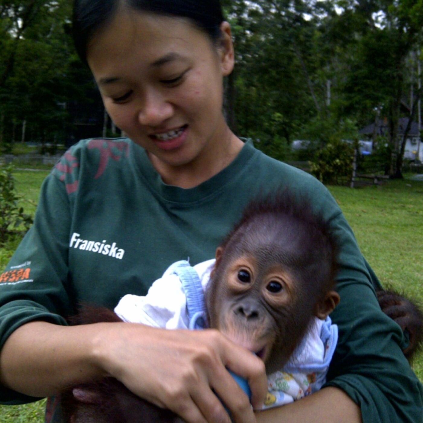 #16 Siska and the orangutans