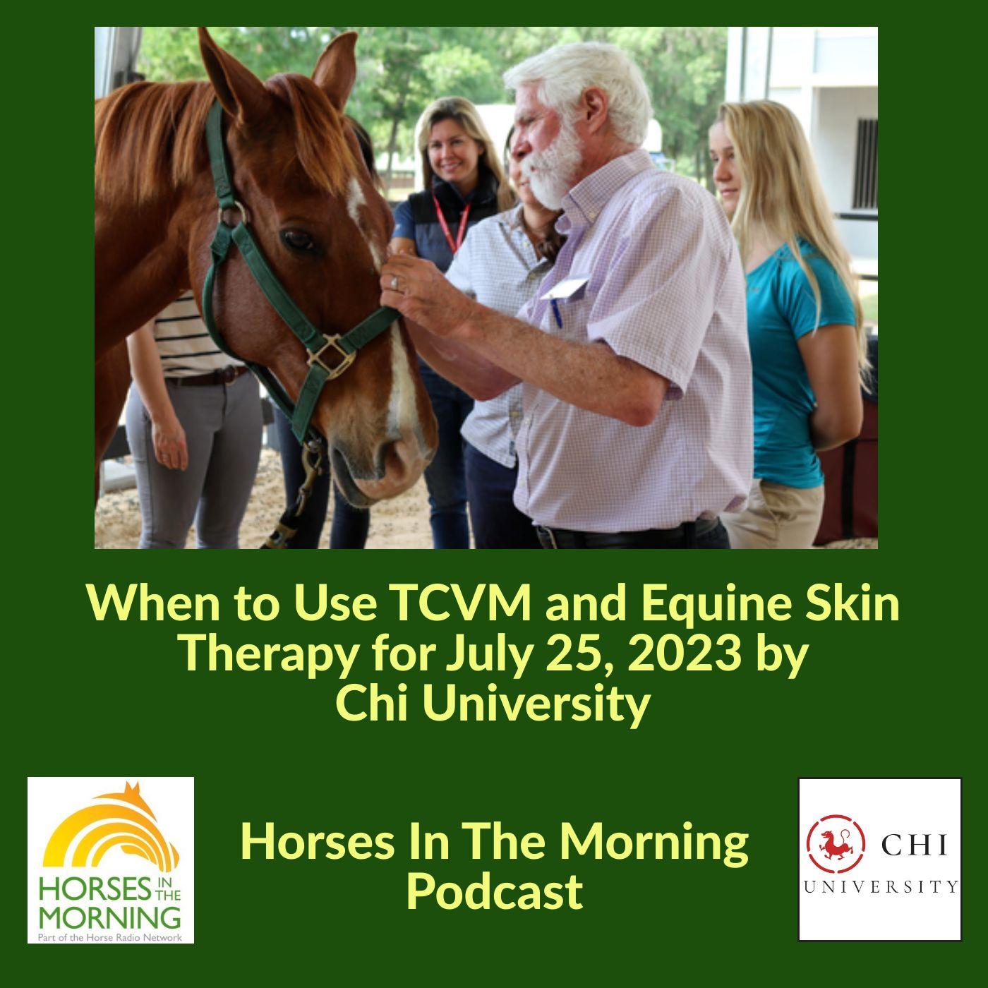 When to Use TCVM and Equine Skin Therapy for July 25, 2023 by Chi University