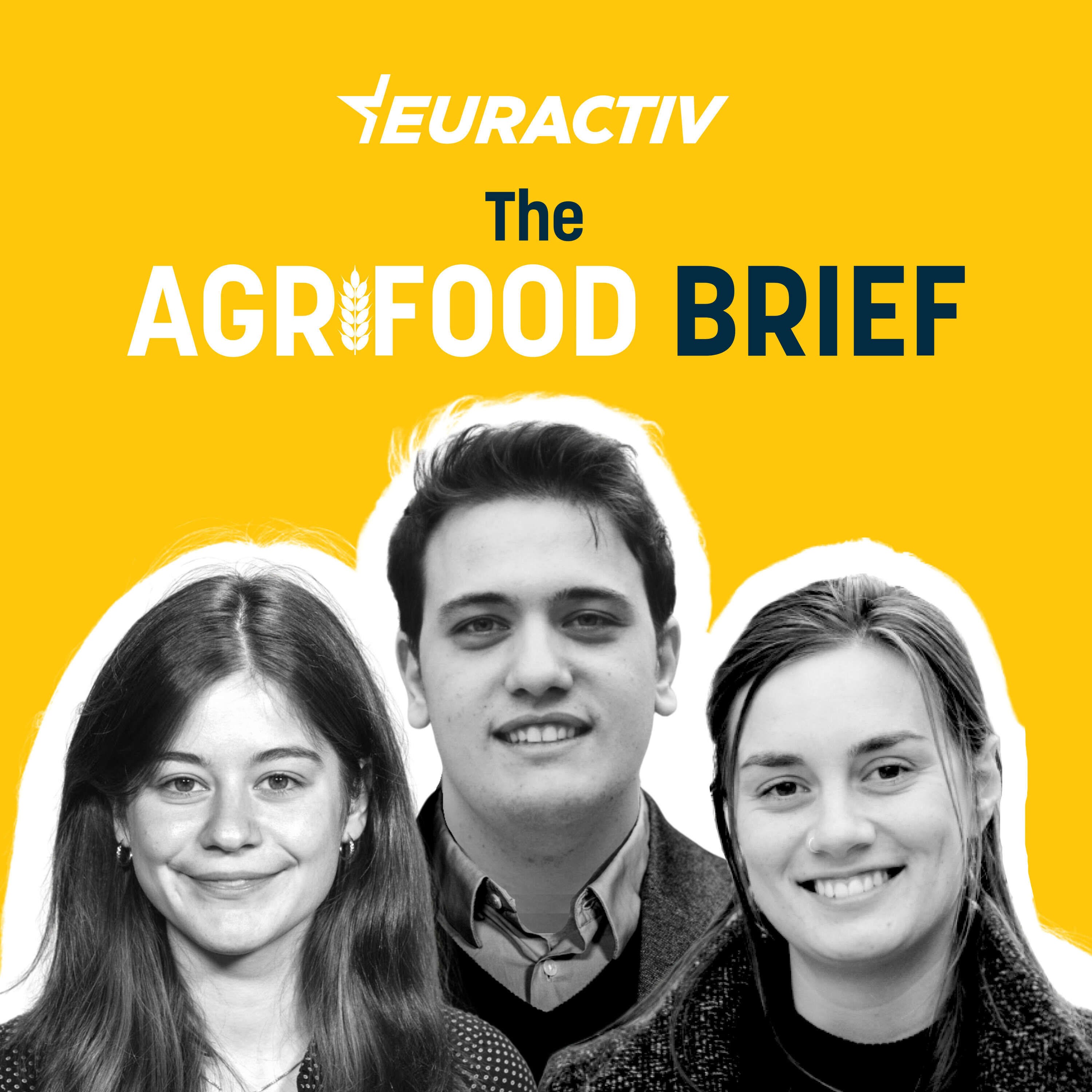 Agrifood Brief 