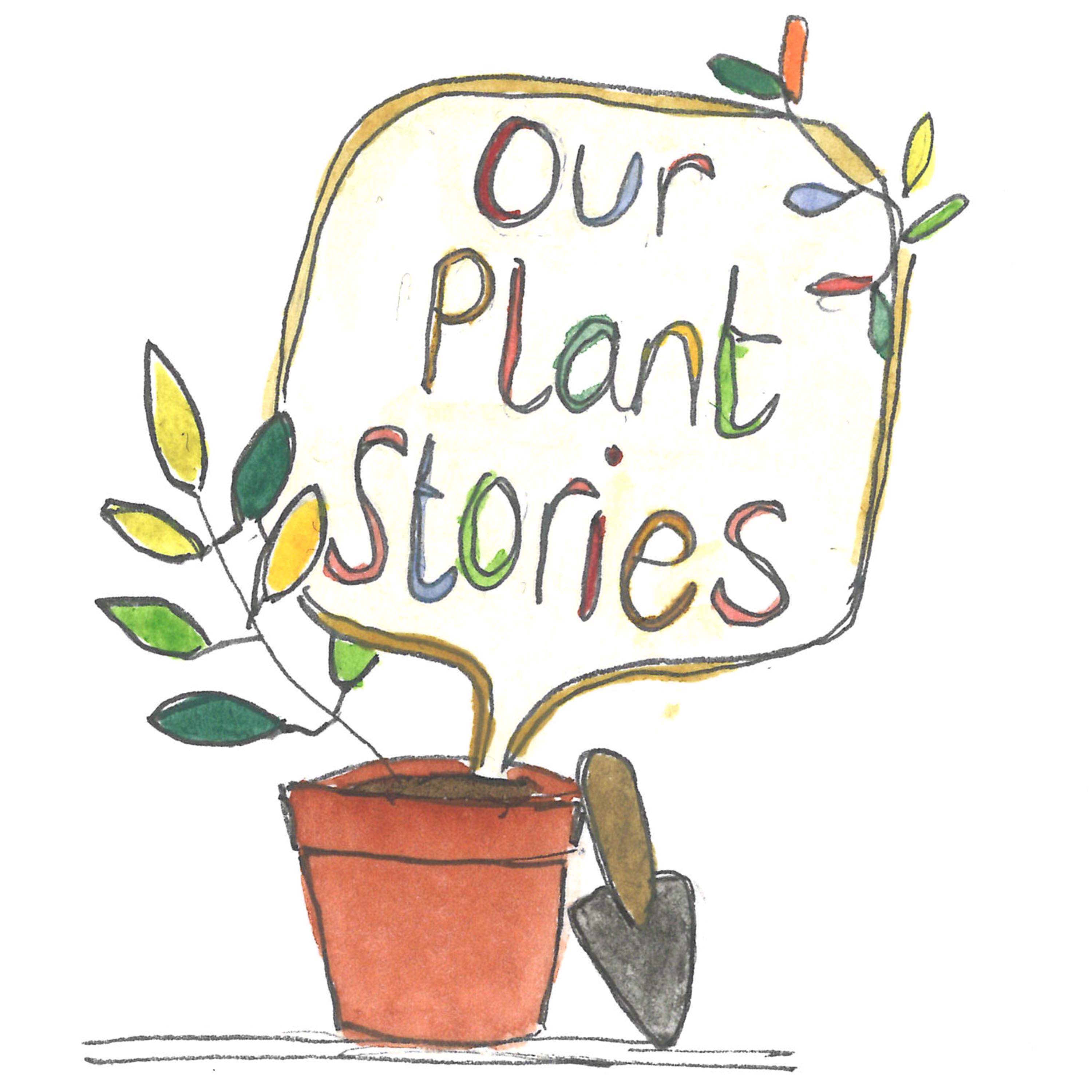 Our Plant Stories 