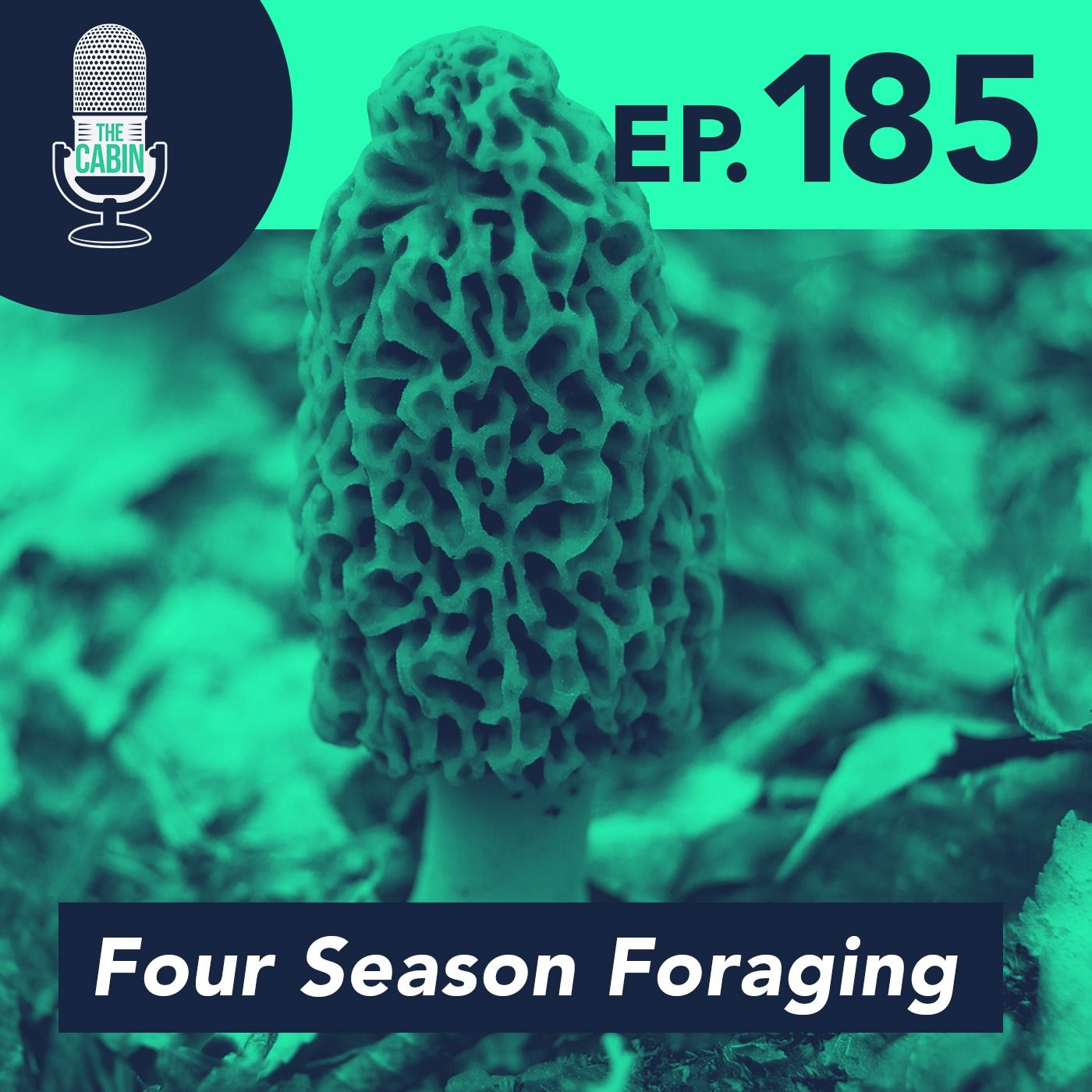 Four Season Foraging in Wisconsin (feat. Ramsay Plautz)