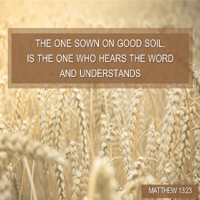 God’s Word produces a harvest