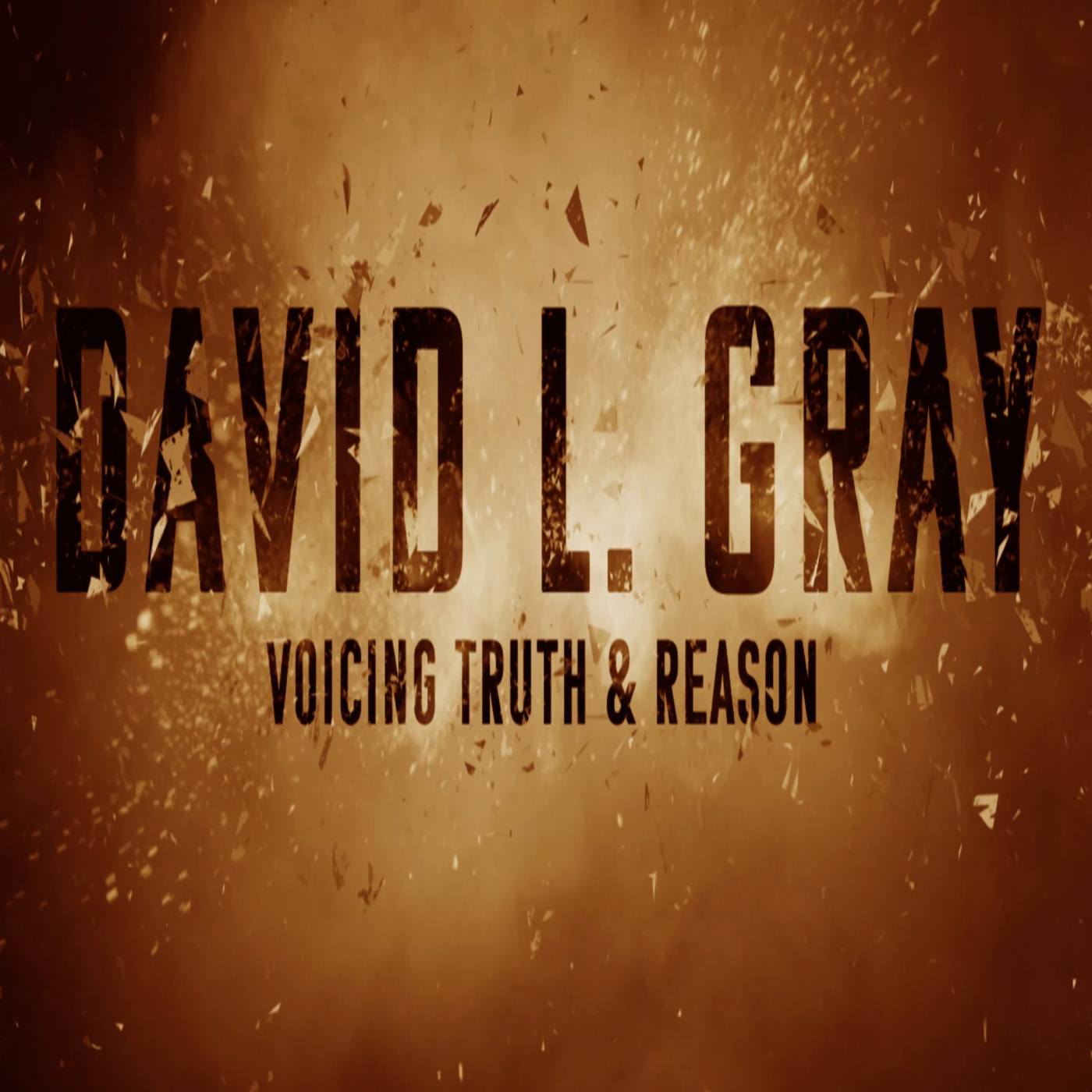 The David L. Gray Show: Voicing Truth & Reason 