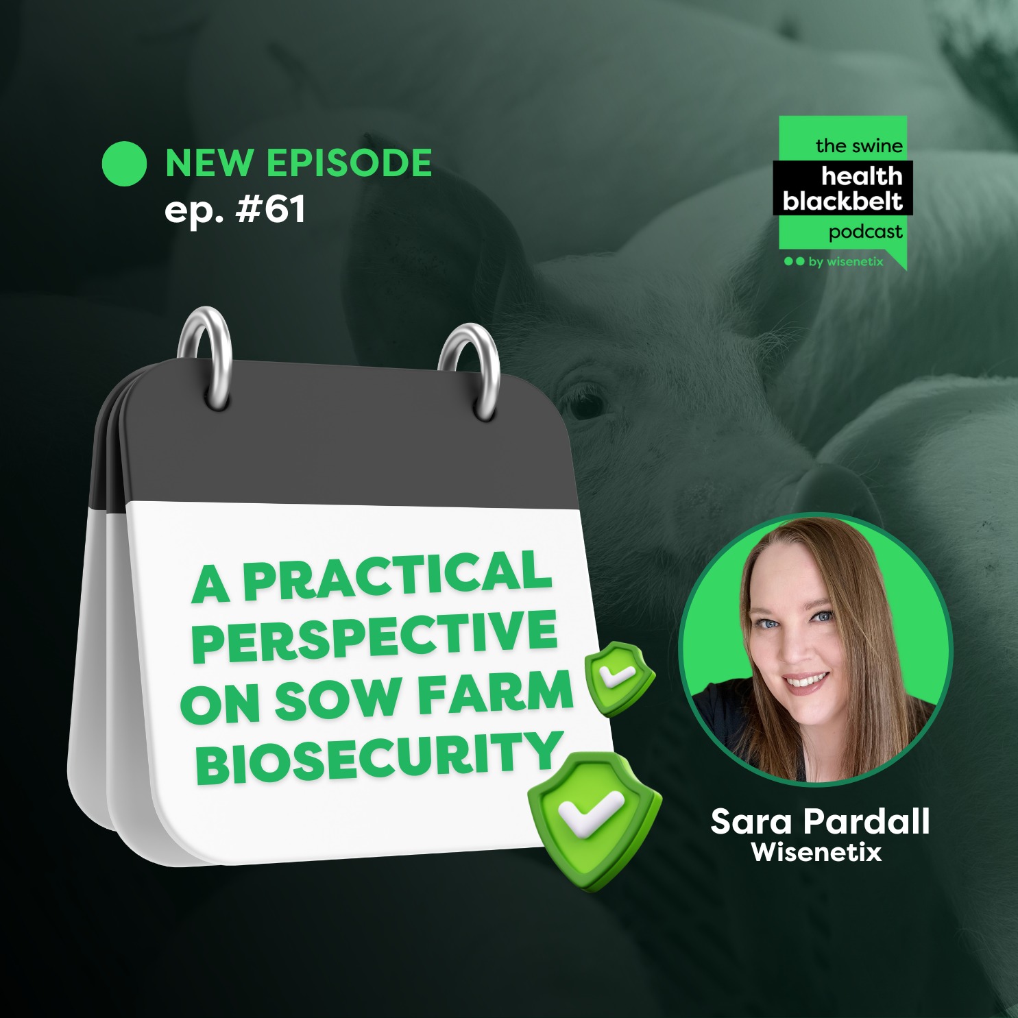 #61 - A practical perspective on sow farm biosecurity - Sara Emily Pardall