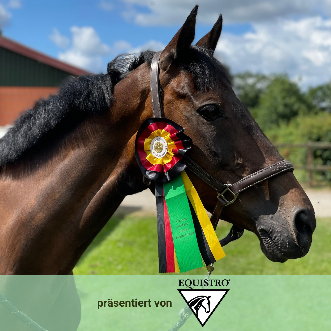 STAFFEL 4 FOLGE #12 – „Es war einfach super!“ Anna Siemer über die letzten Wochen mit ihren Super-Stuten / EQUISTRO