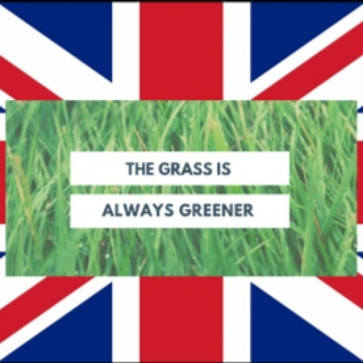 Expressing preferences , "The grass is always greener". Advanced comparatives: the more, the better.