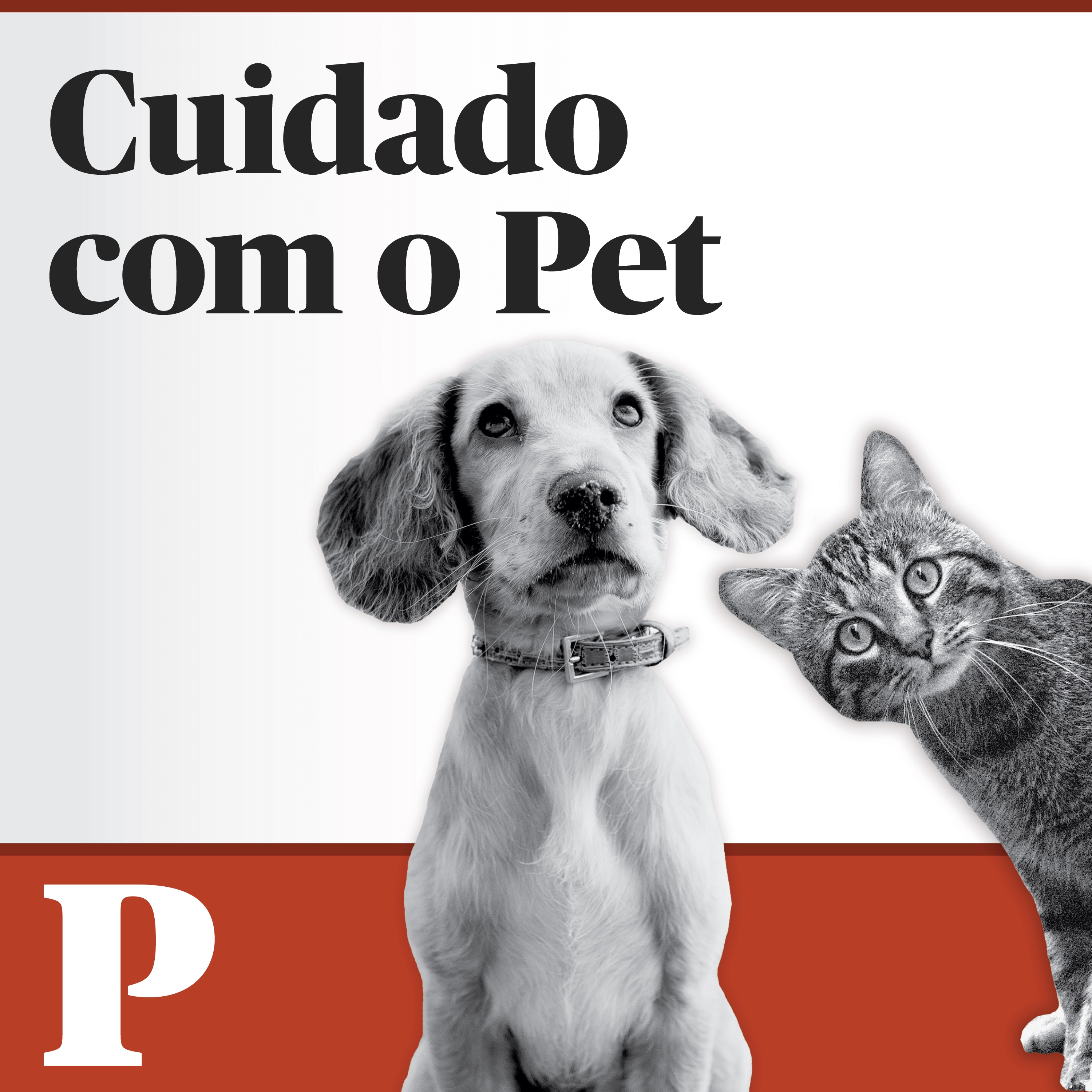 Cuidado com o Pet 