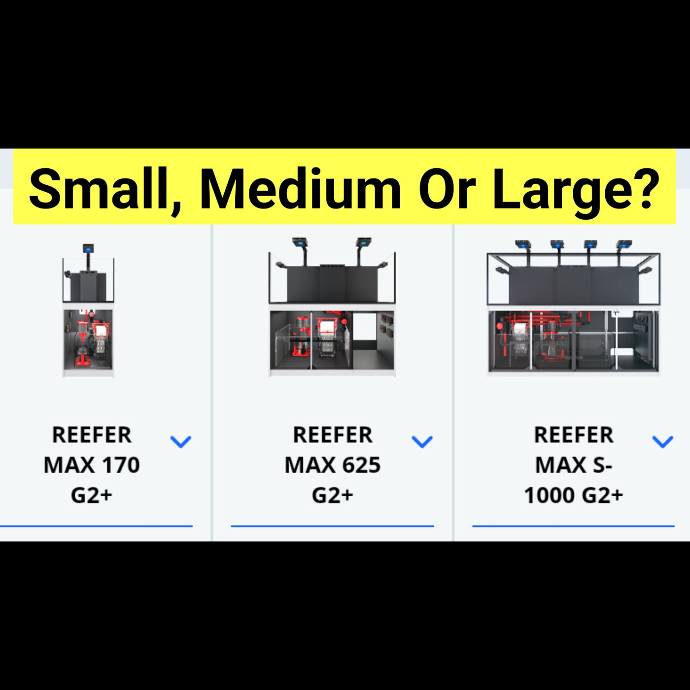 Which Tank Size Is Best? The Prestige Reef Dork Show Ep 9