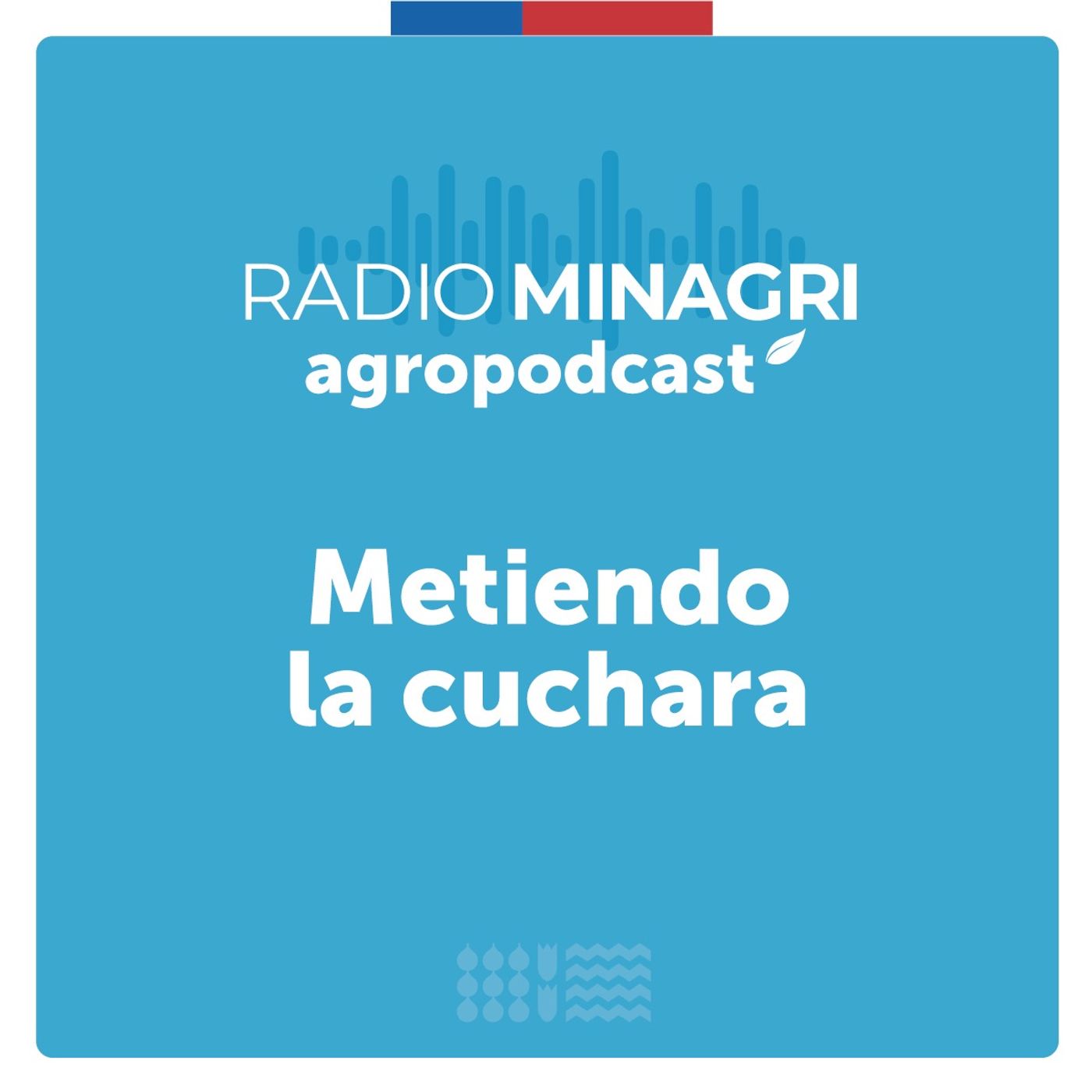 ⁣Metiendo la cuchara – Episodio 72: El encanto de los huertos urbanos: aprendizaje con Francisco Fuentes