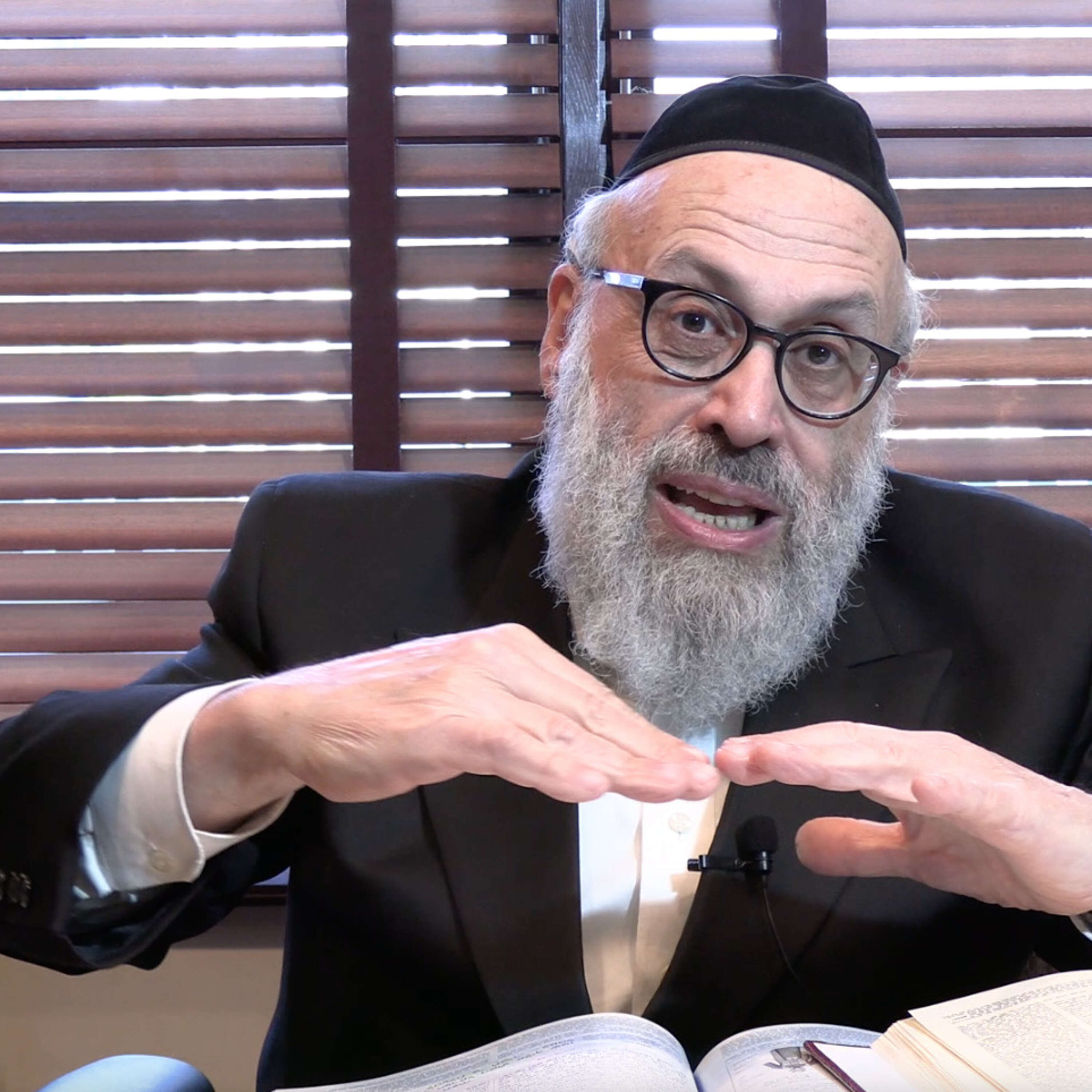 Parshas Balak – The Donkey Talks – Rabbi Yaakov Yosef Reinman