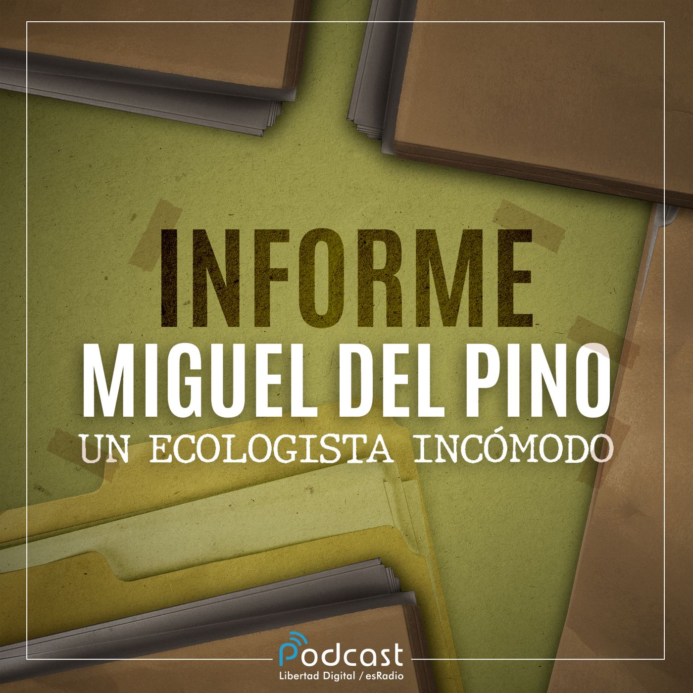 Informe Miguel del Pino 