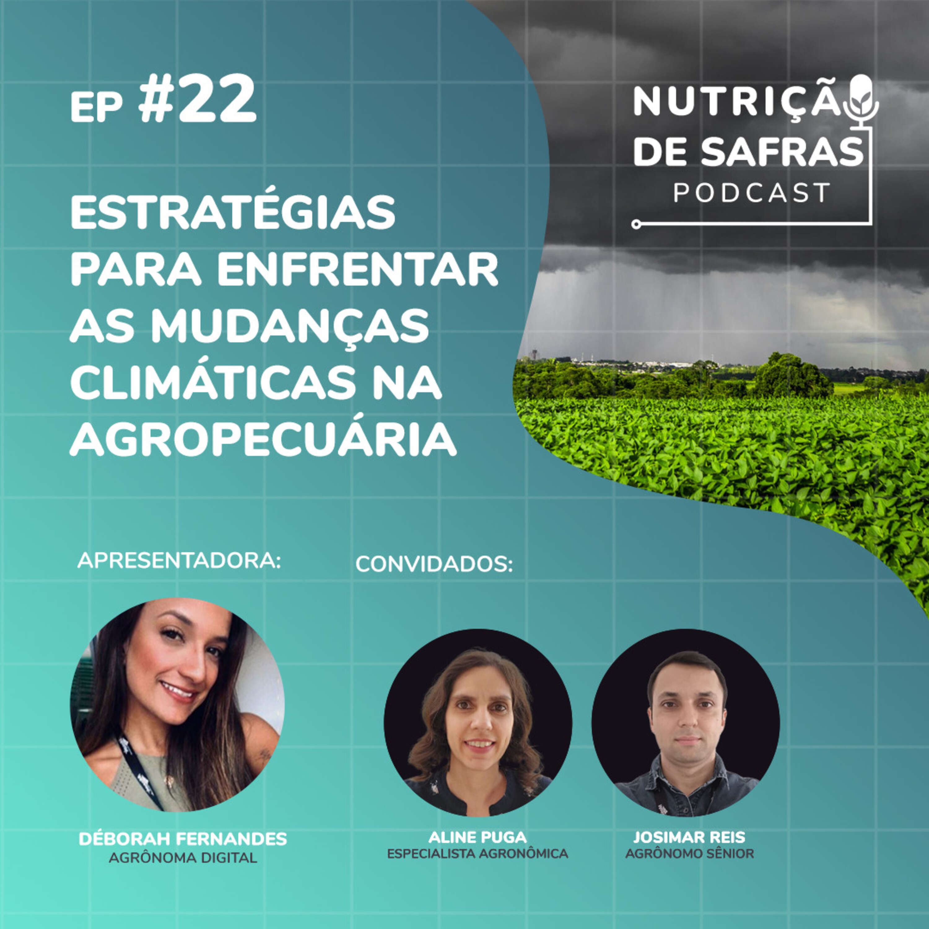 Estratégias para enfrentar as mudanças climáticas na agropecuária