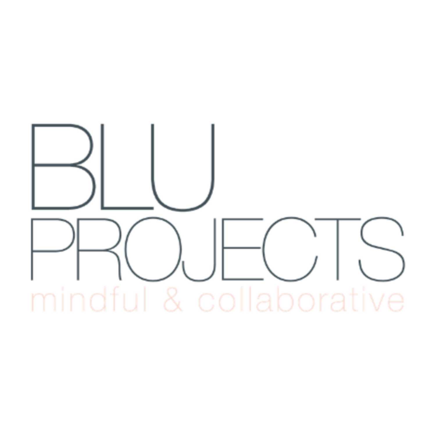 BluProjects 